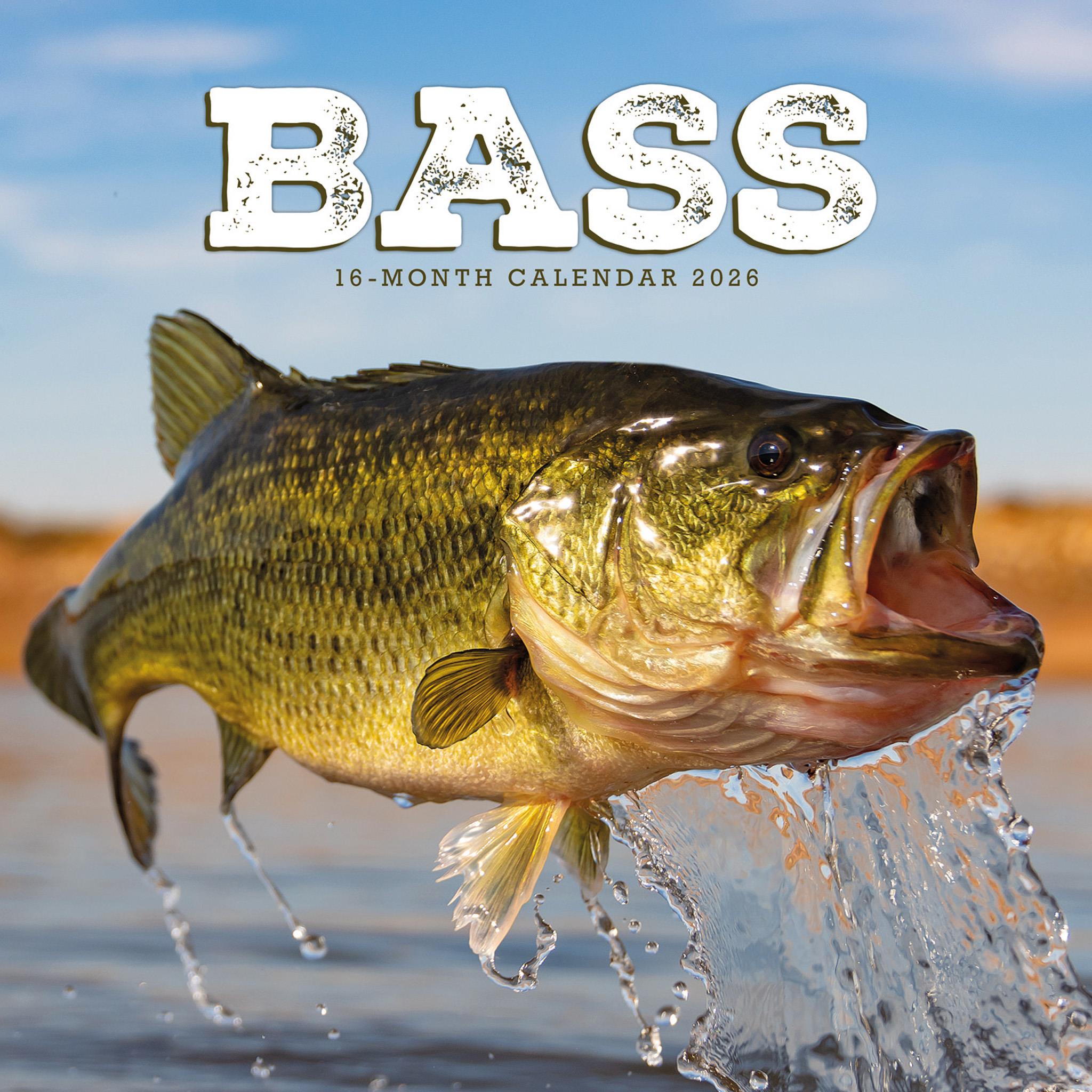 Bass 2026 Wall Calendar