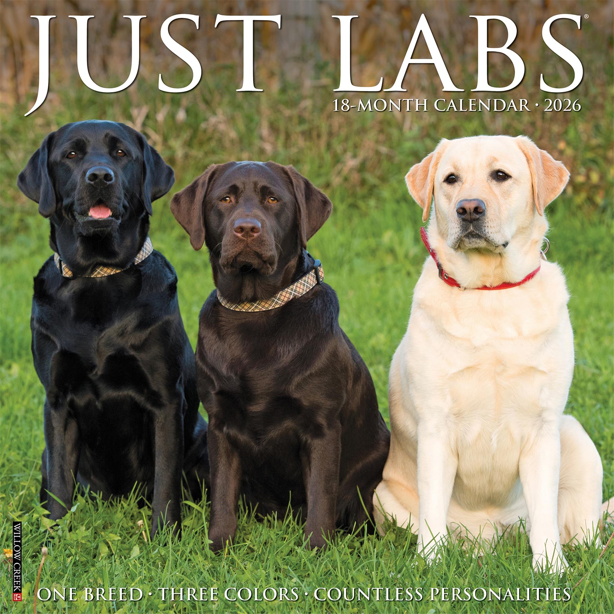 Labs 2026 Just Wall Calendar