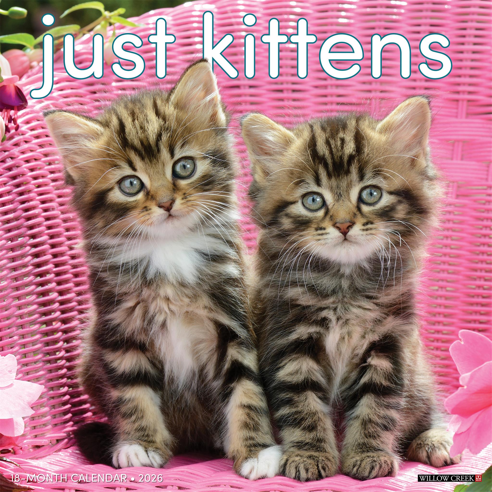 Kittens 2026 Just Wall Calendar