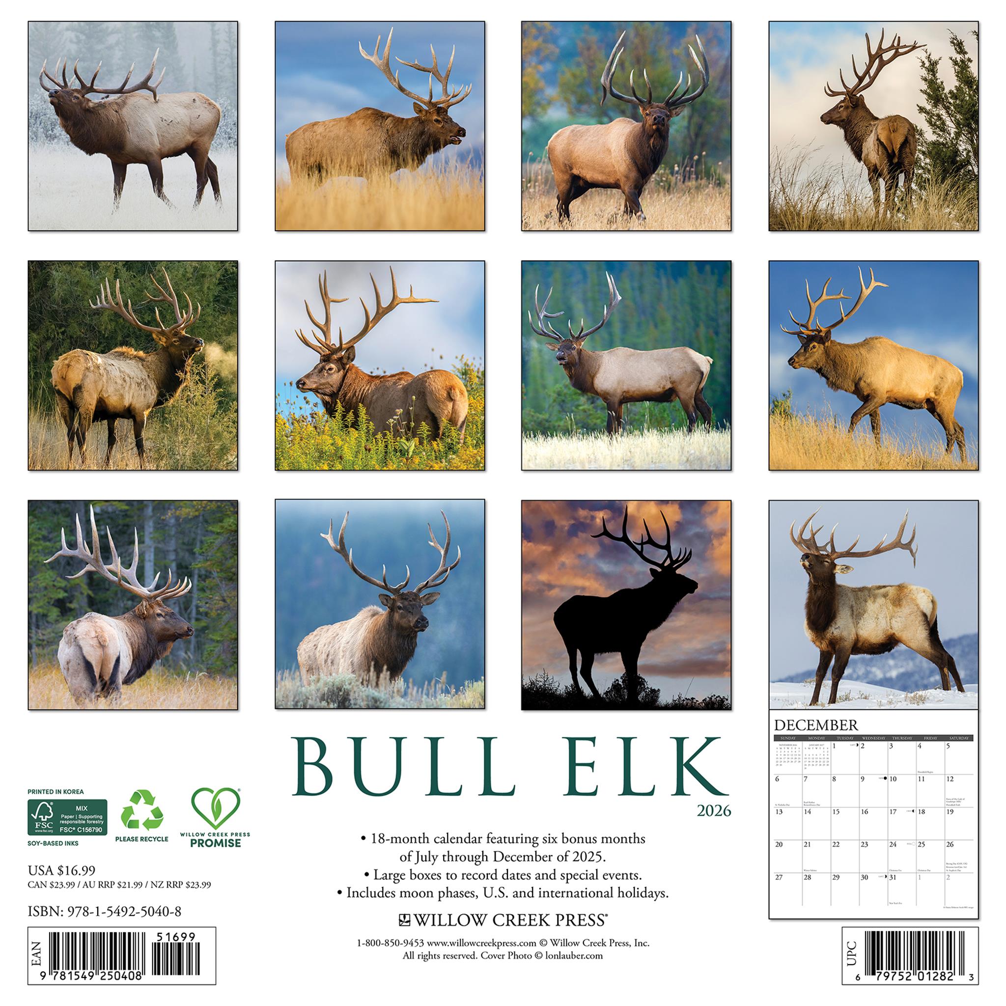 Bull Elk 2026 Wall Calendar