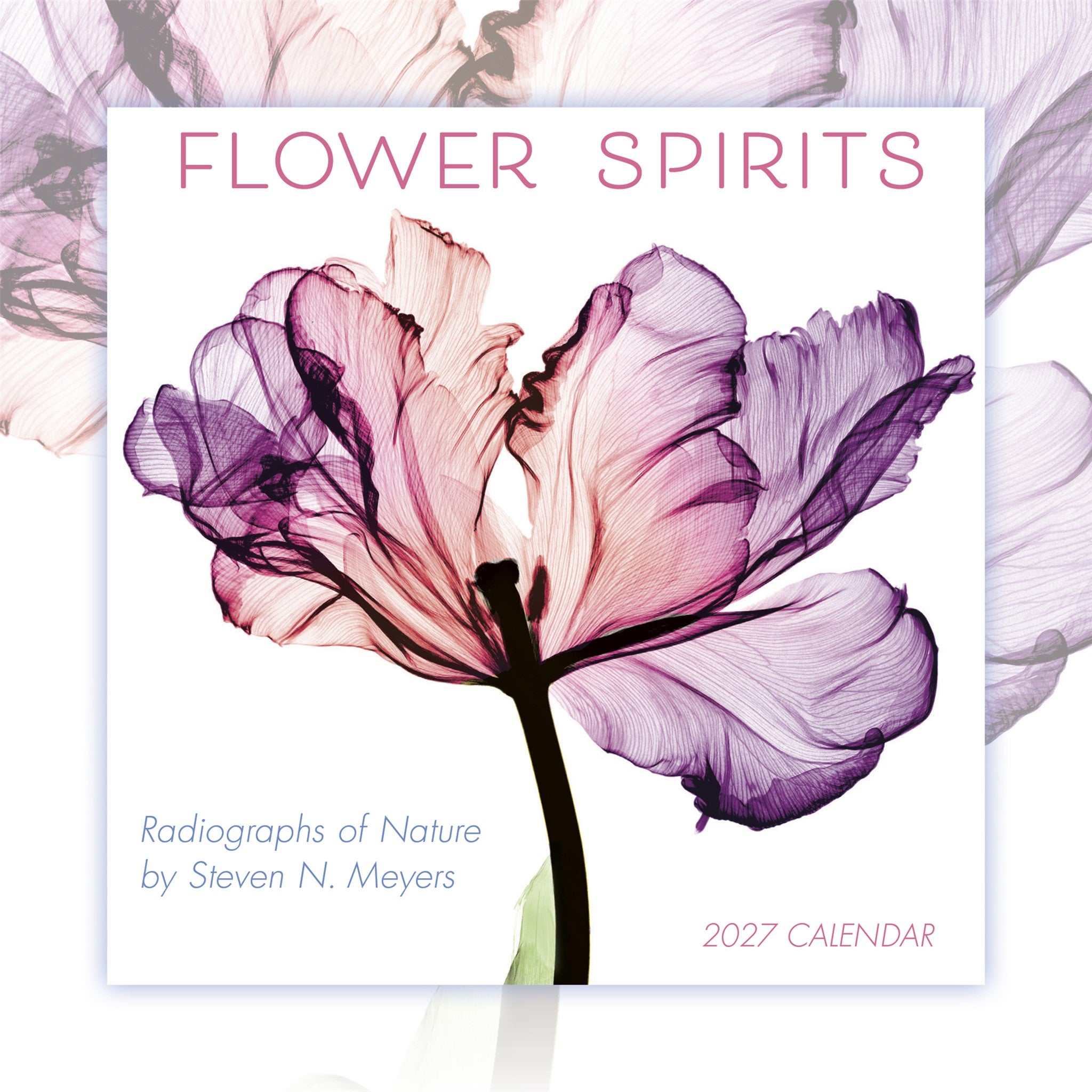 Flower Spirits 2027 Mini Calendar