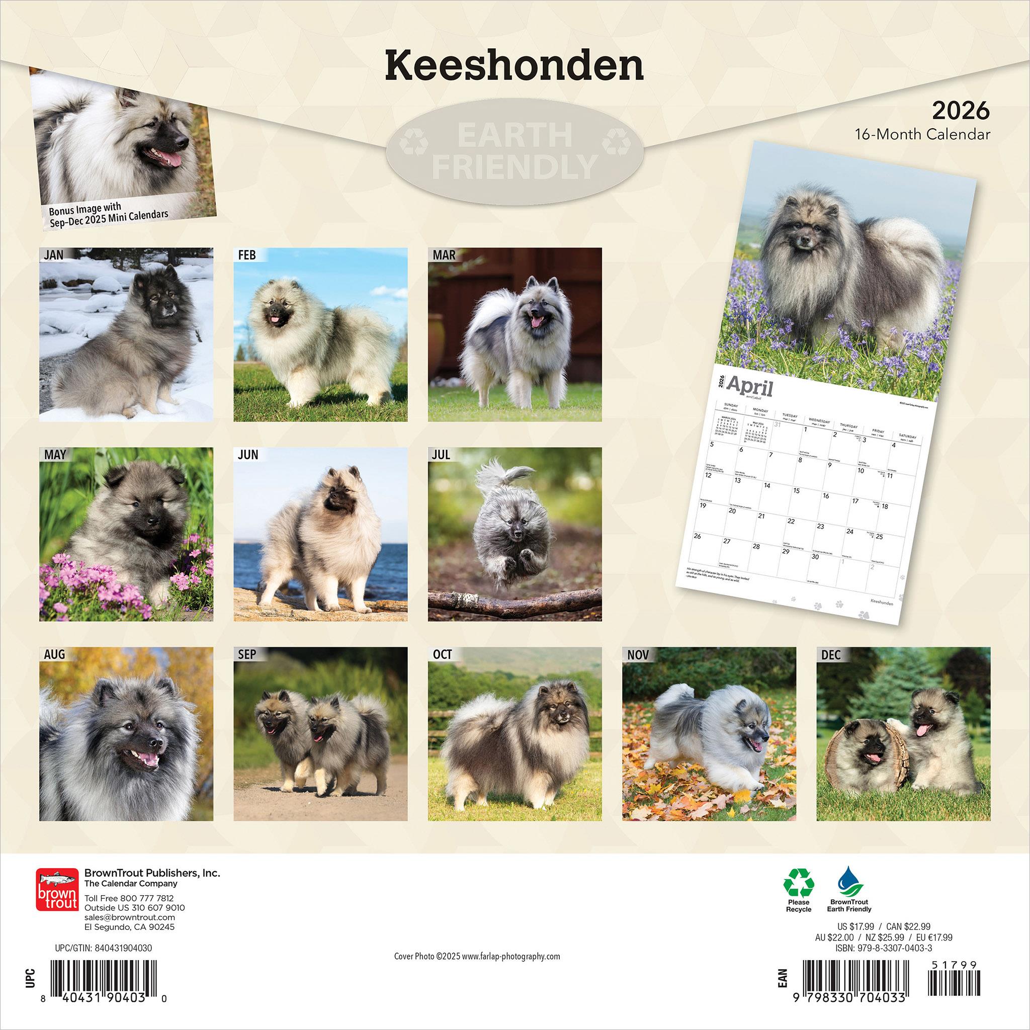 Keeshonden 2026 Wall Calendar