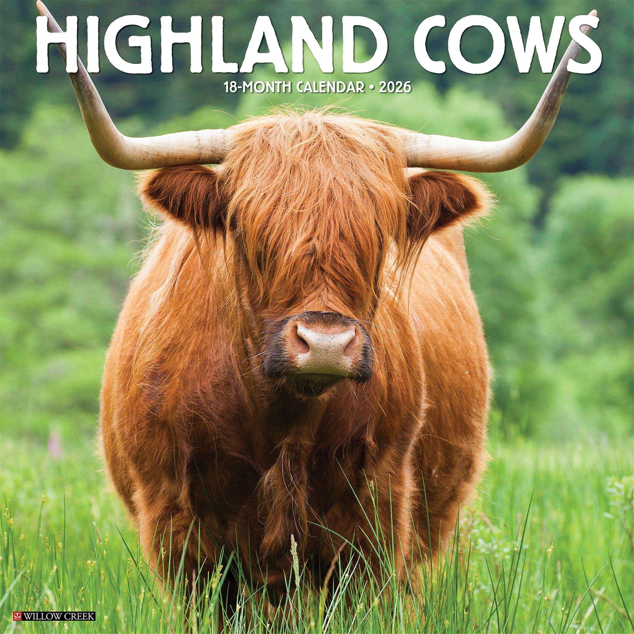 Highland Cows 2026 Wall Calendar - Online Only