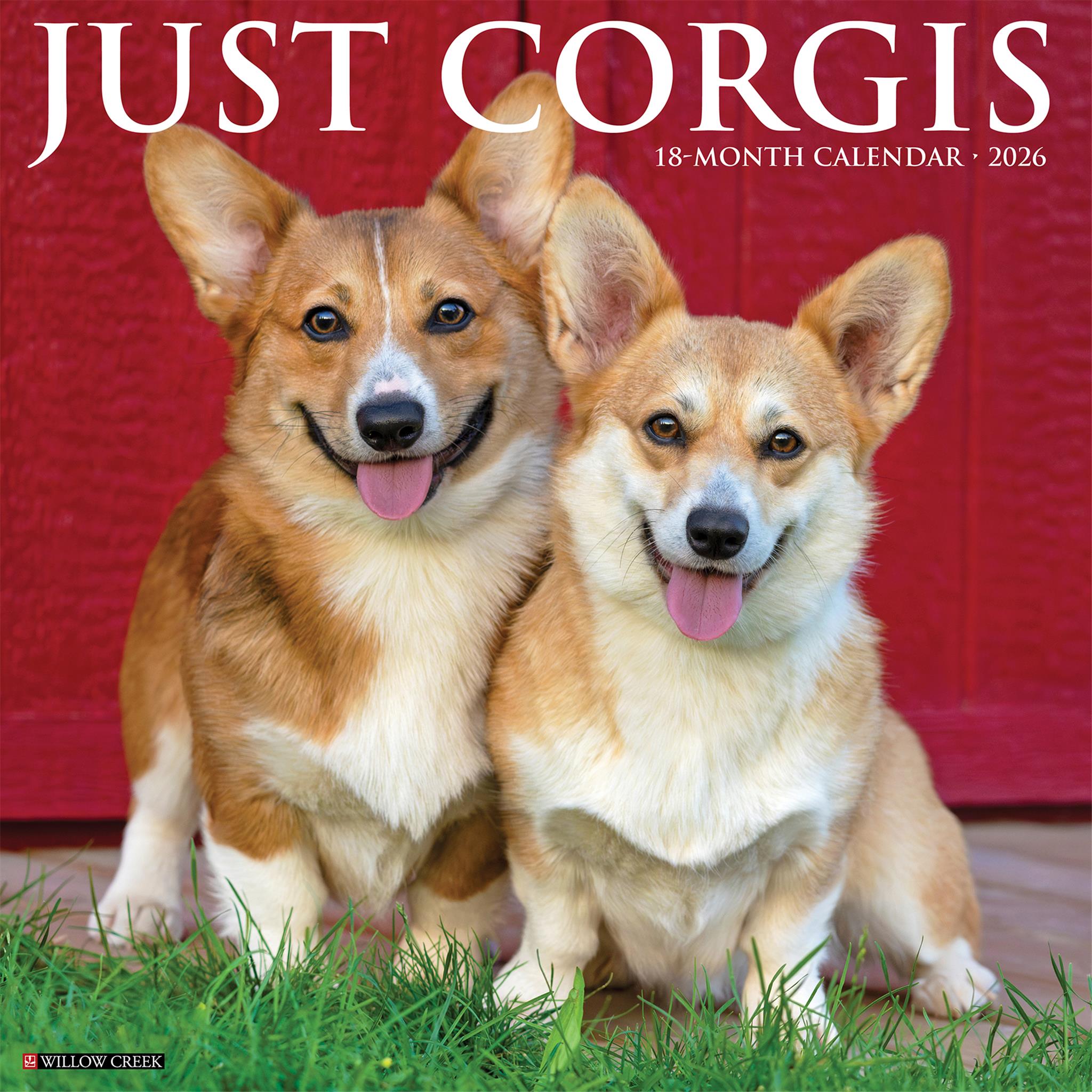 Just Corgis 2026 Wall Calendar