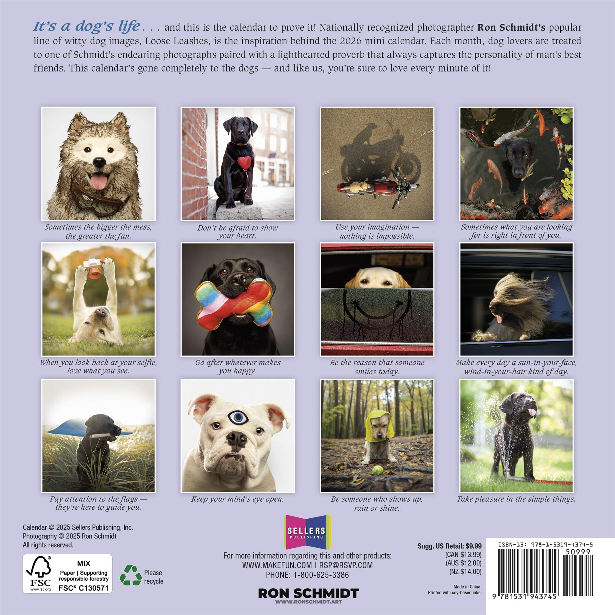 Dogma 2026 Mini Calendar