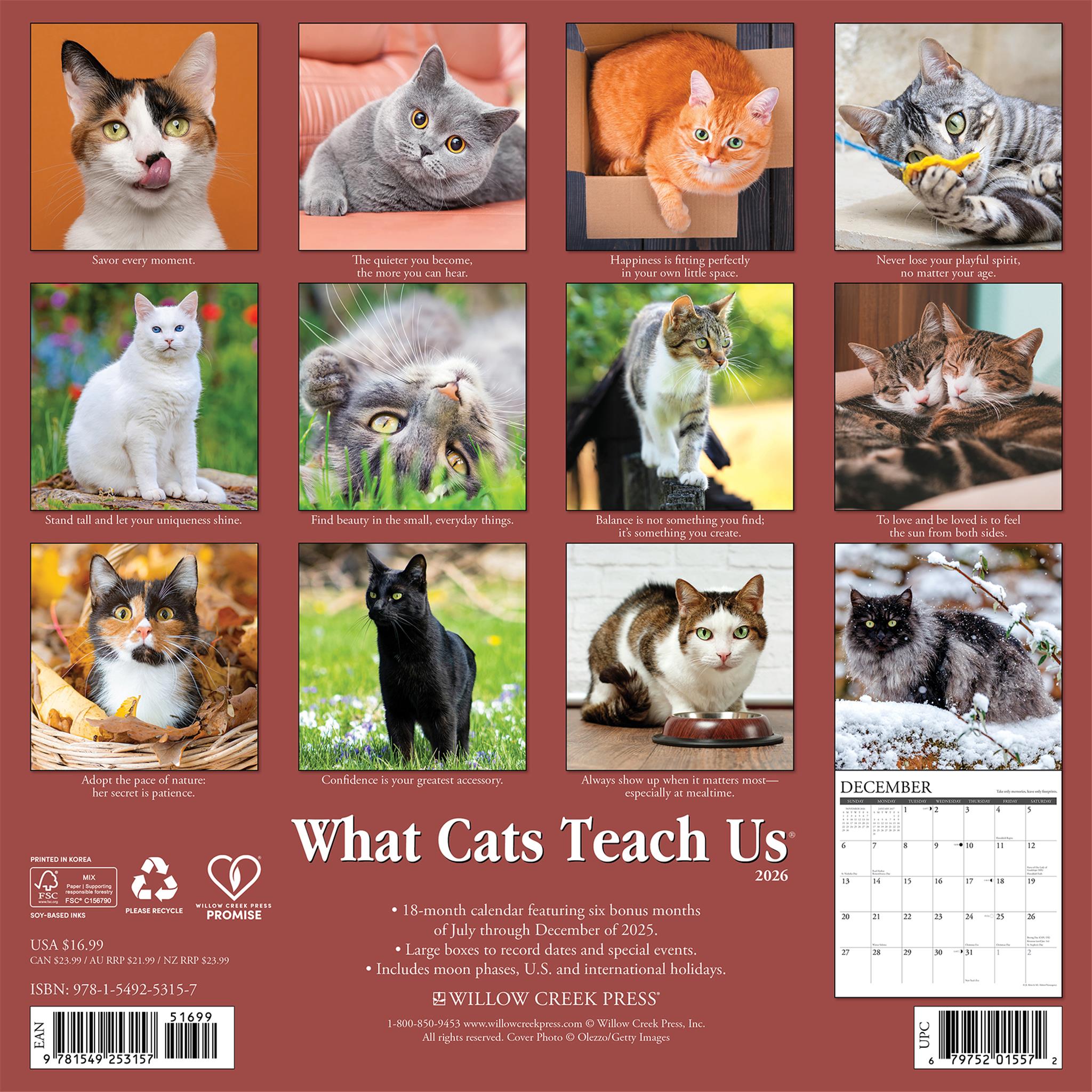 What Cats Teach Us 2026 Wall Calendar - Calendar Club Canada
