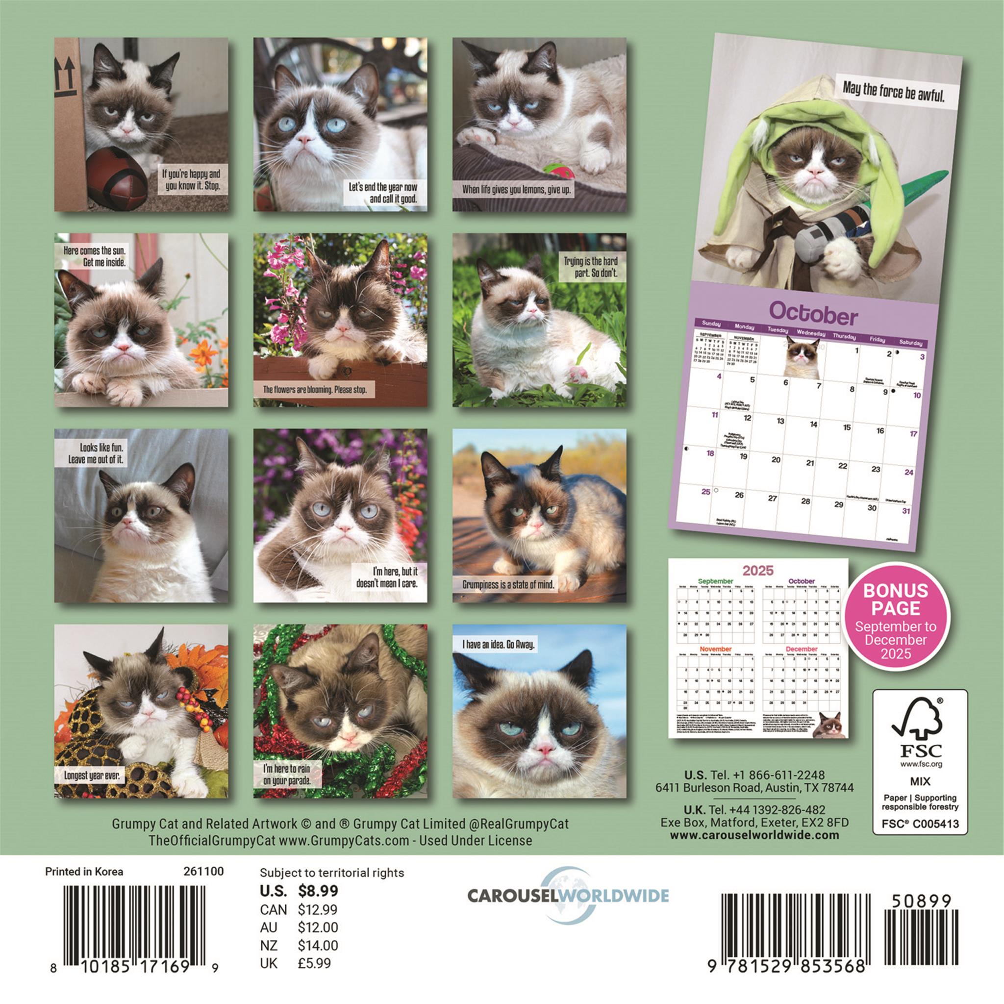 Grumpy Cat 2026 Mini Calendar