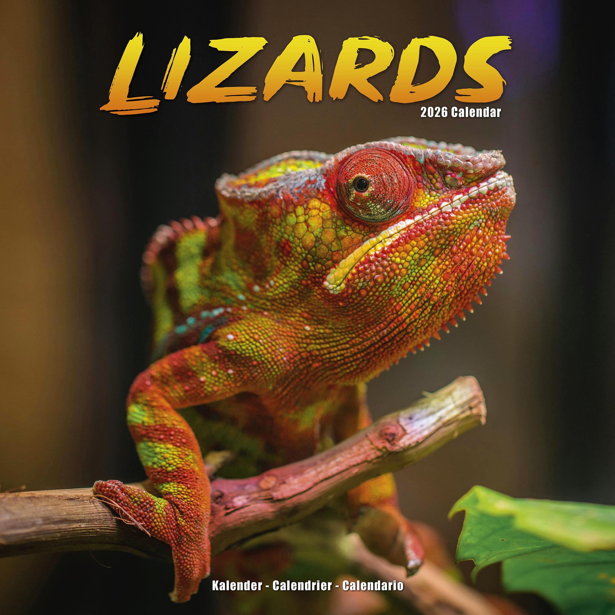 Lizards 2026 Wall Calendar