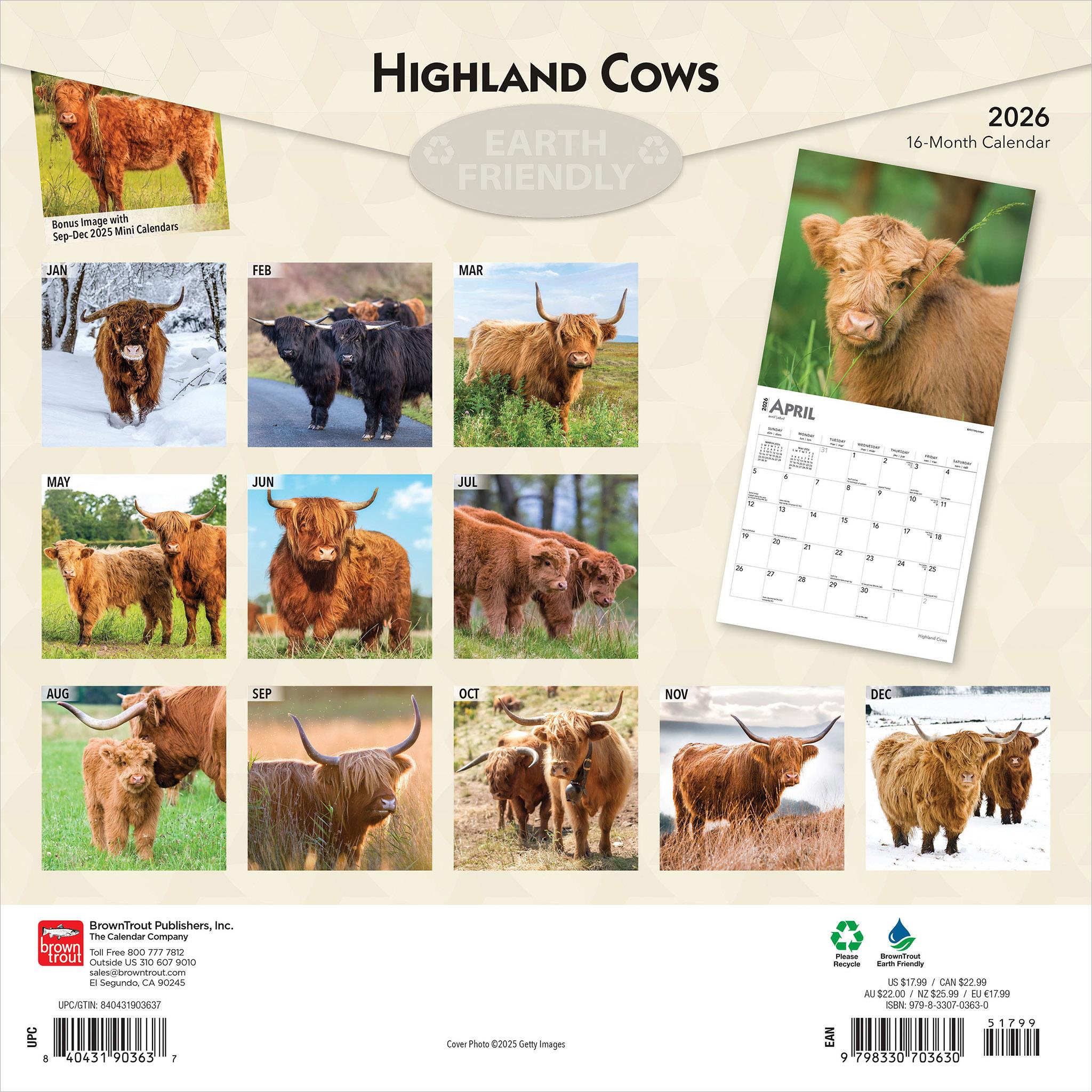 Highland Cows 2026 Wall Calendar