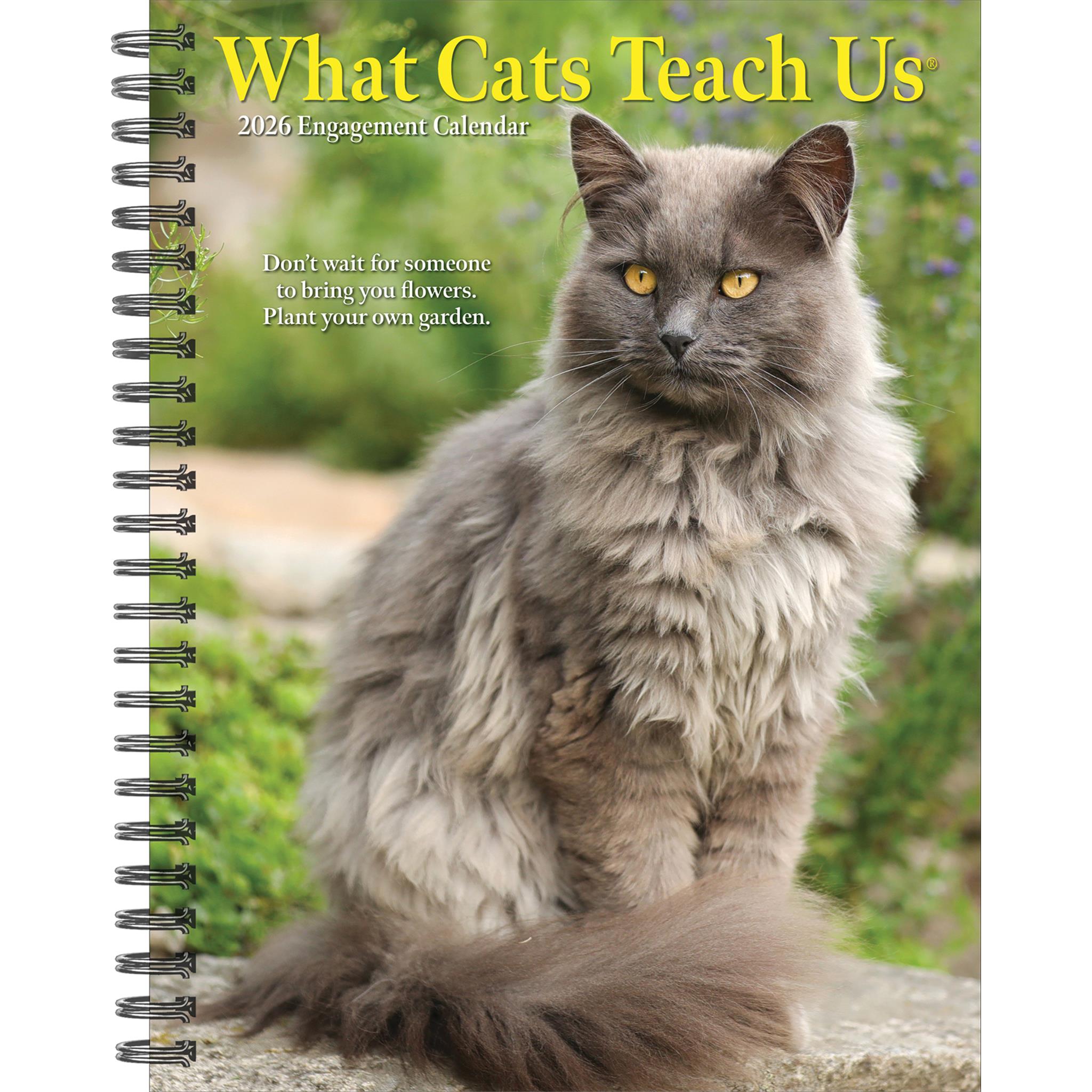 What Cats Teach Us 2026 Engagement Calendar