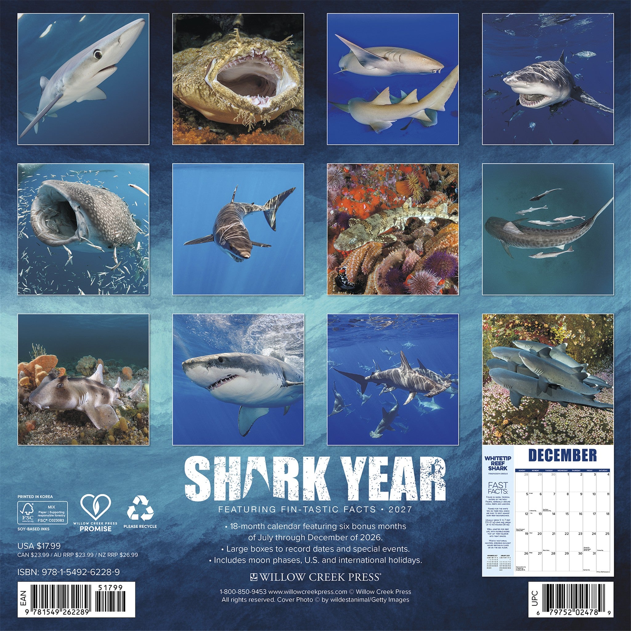 Shark Year 2027 Wall Calendar