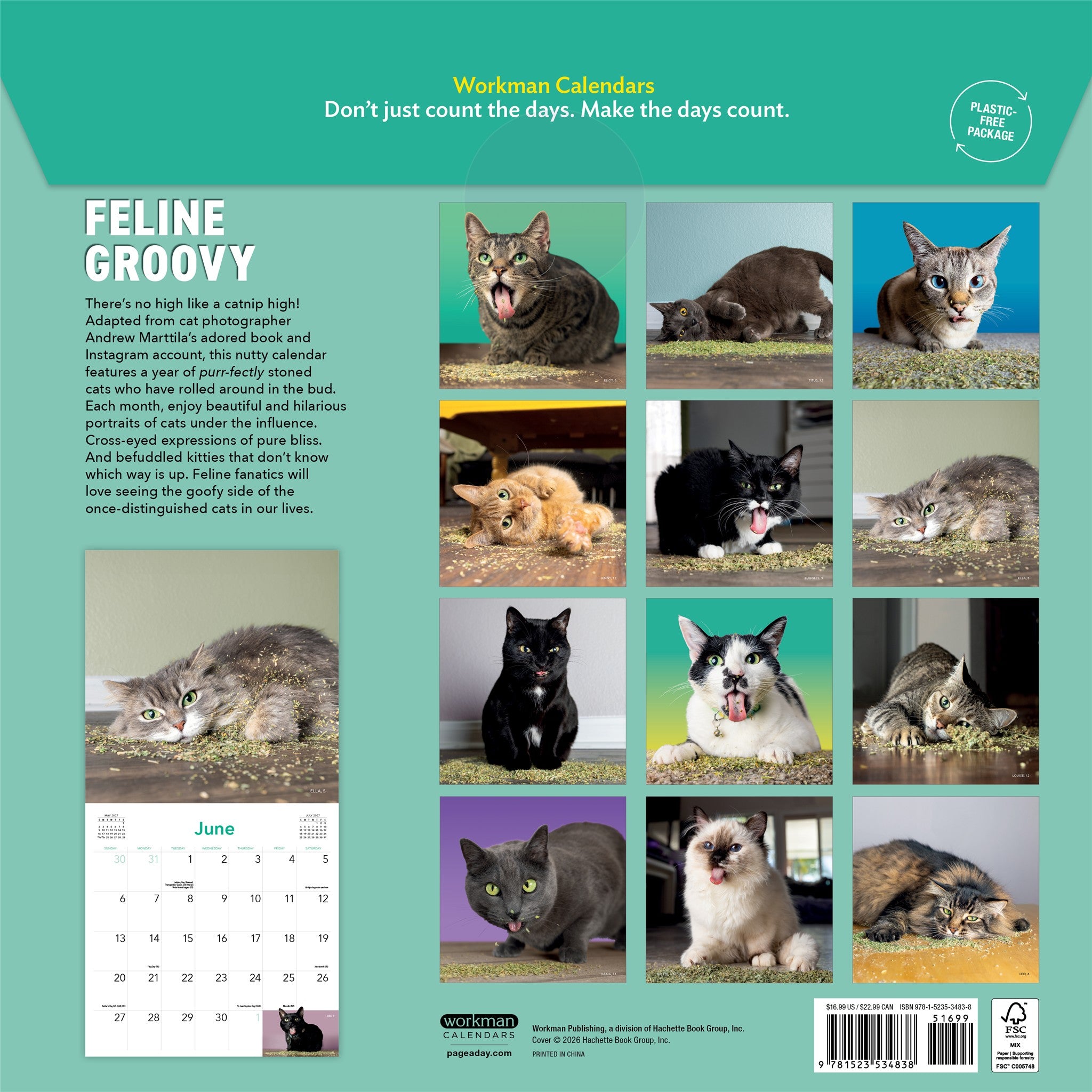 Cats on Catnip 2027 Wall Calendar