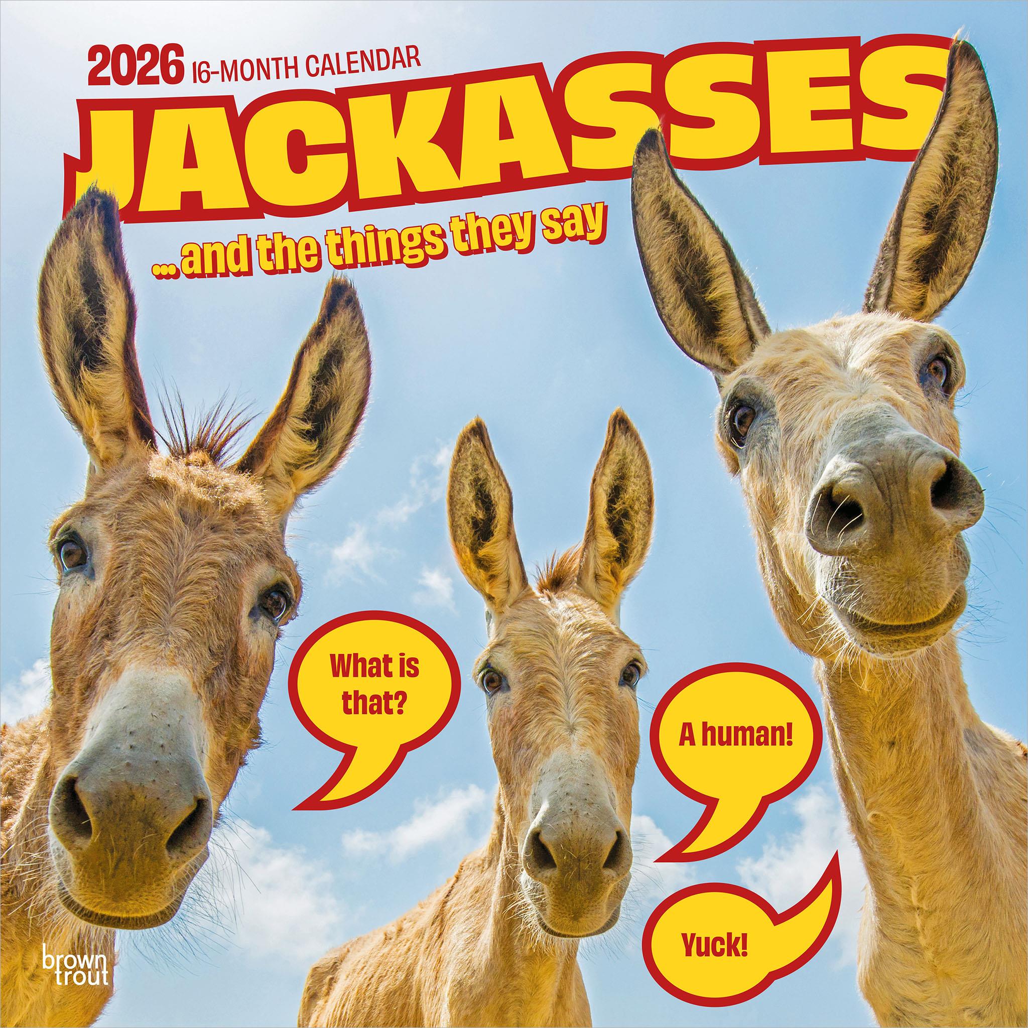 Jackasses 2026 Wall Calendar