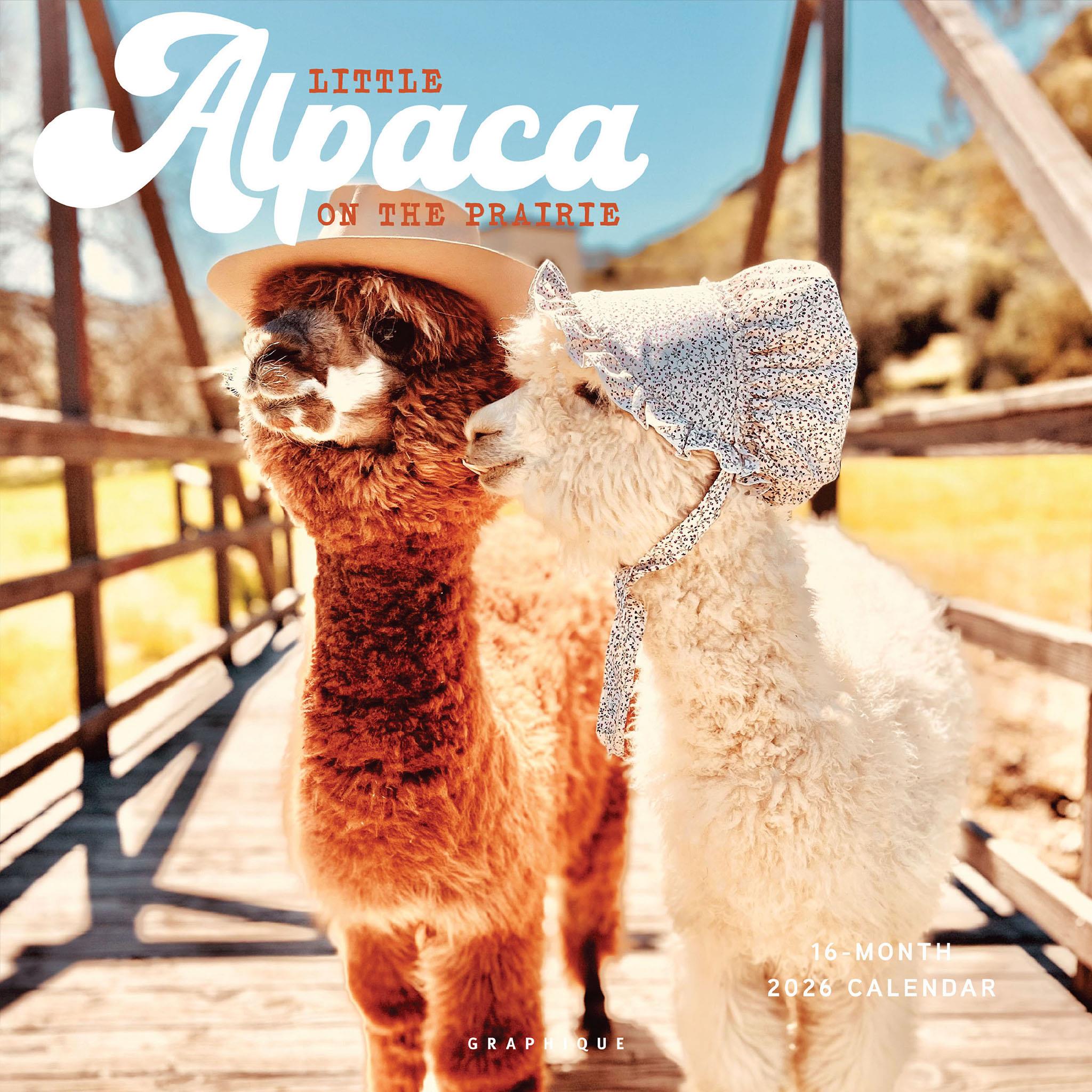 Litte Alpaca On The Prairie 2026 Wall Calendar