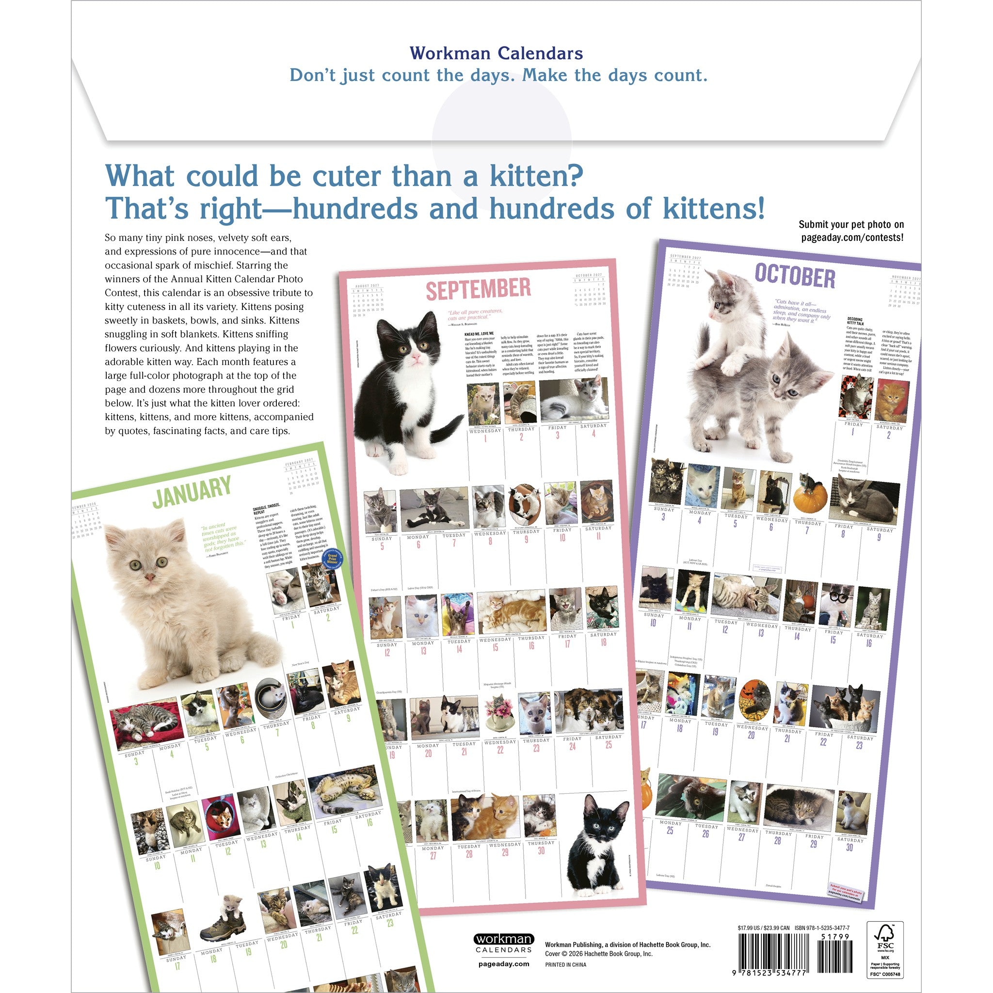 365 Kittens a Year 2027 Wall Calendar