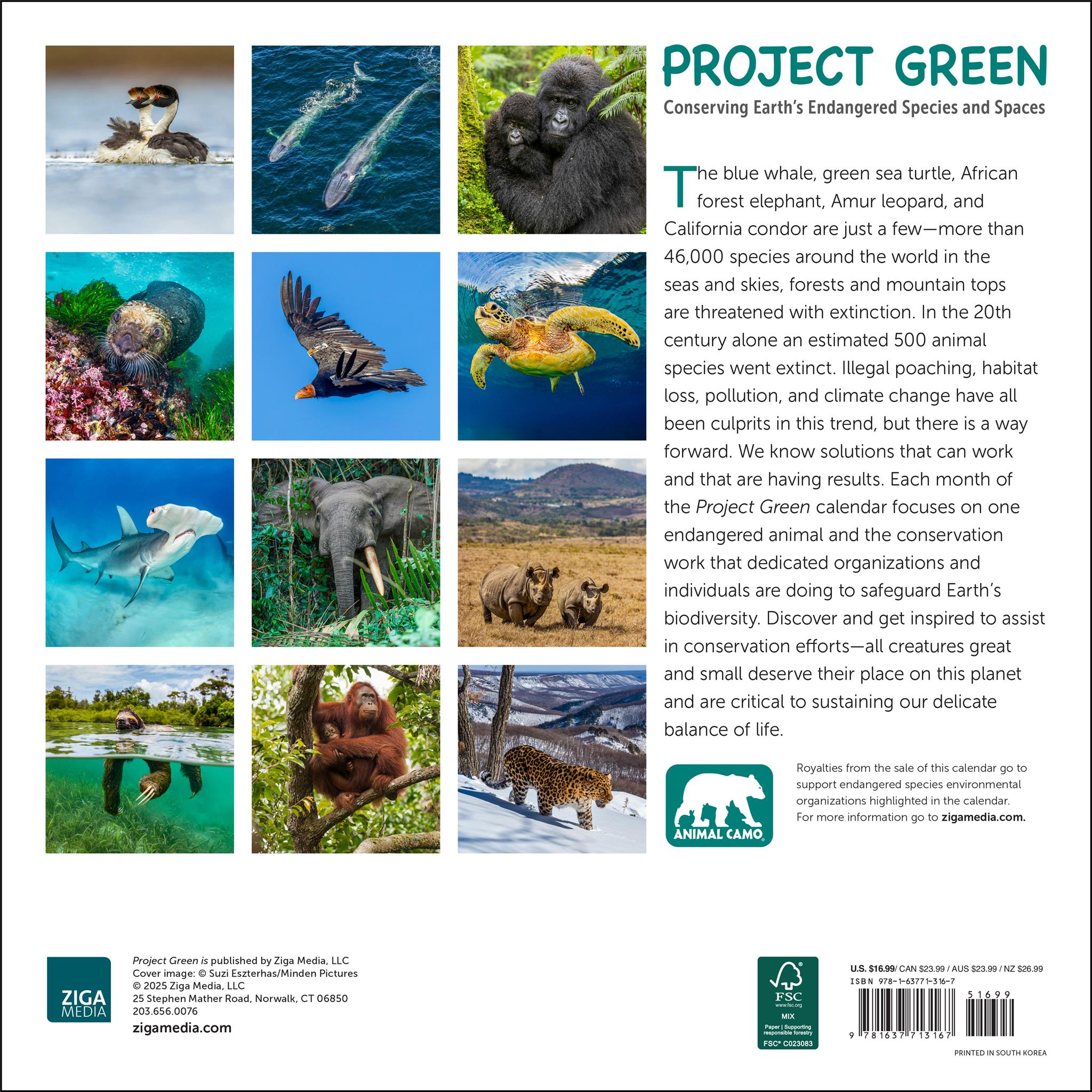 Project Green 2026 Wall Calendar