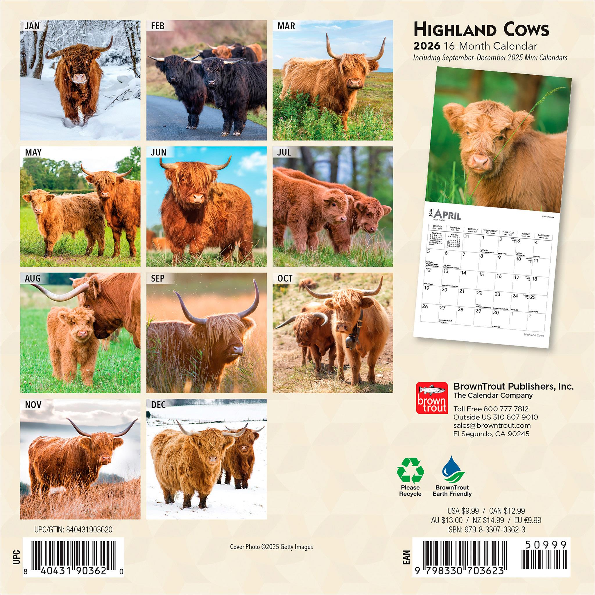 Highland Cows 2026 Mini Calendar