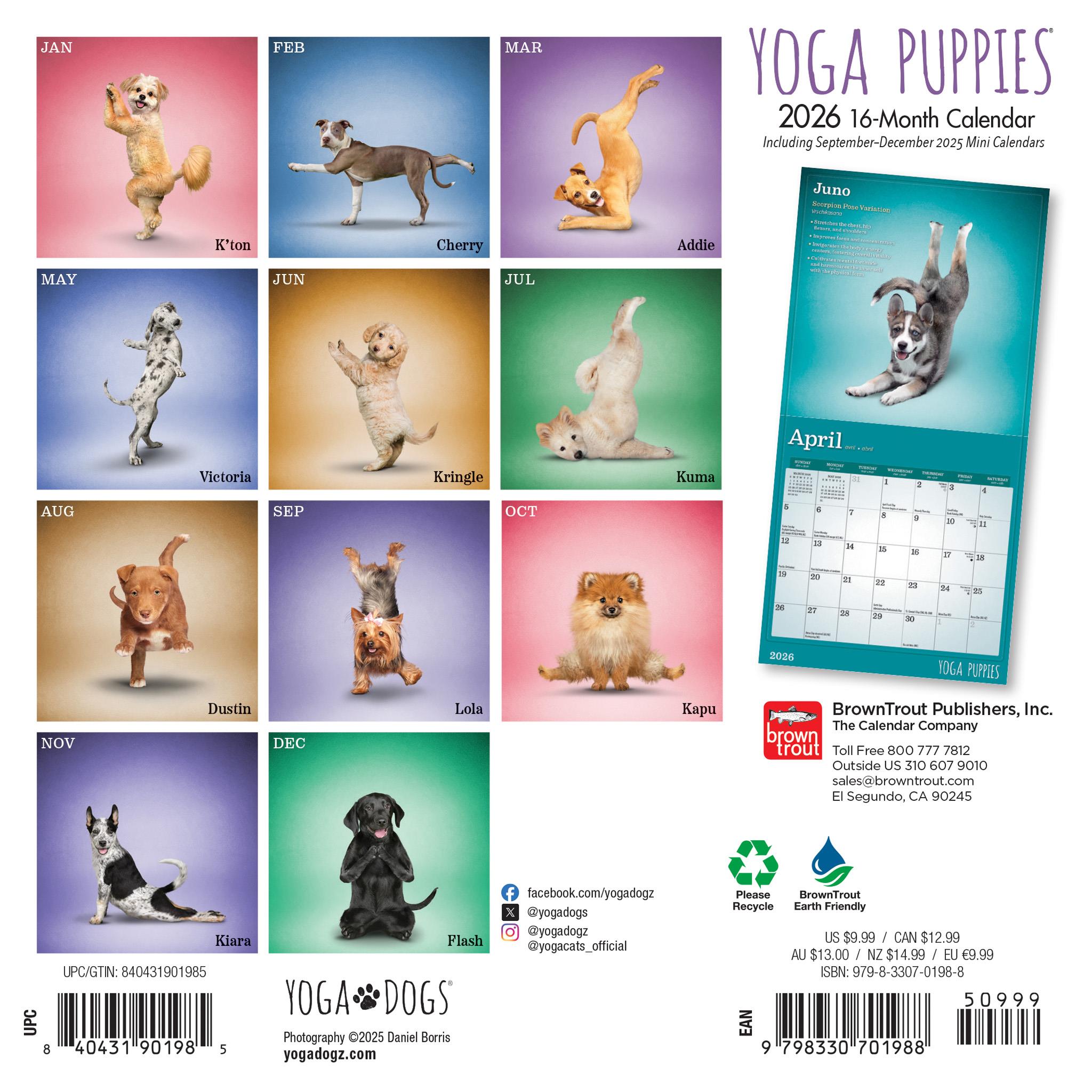 Yoga Puppies 2026 Mini Calendar