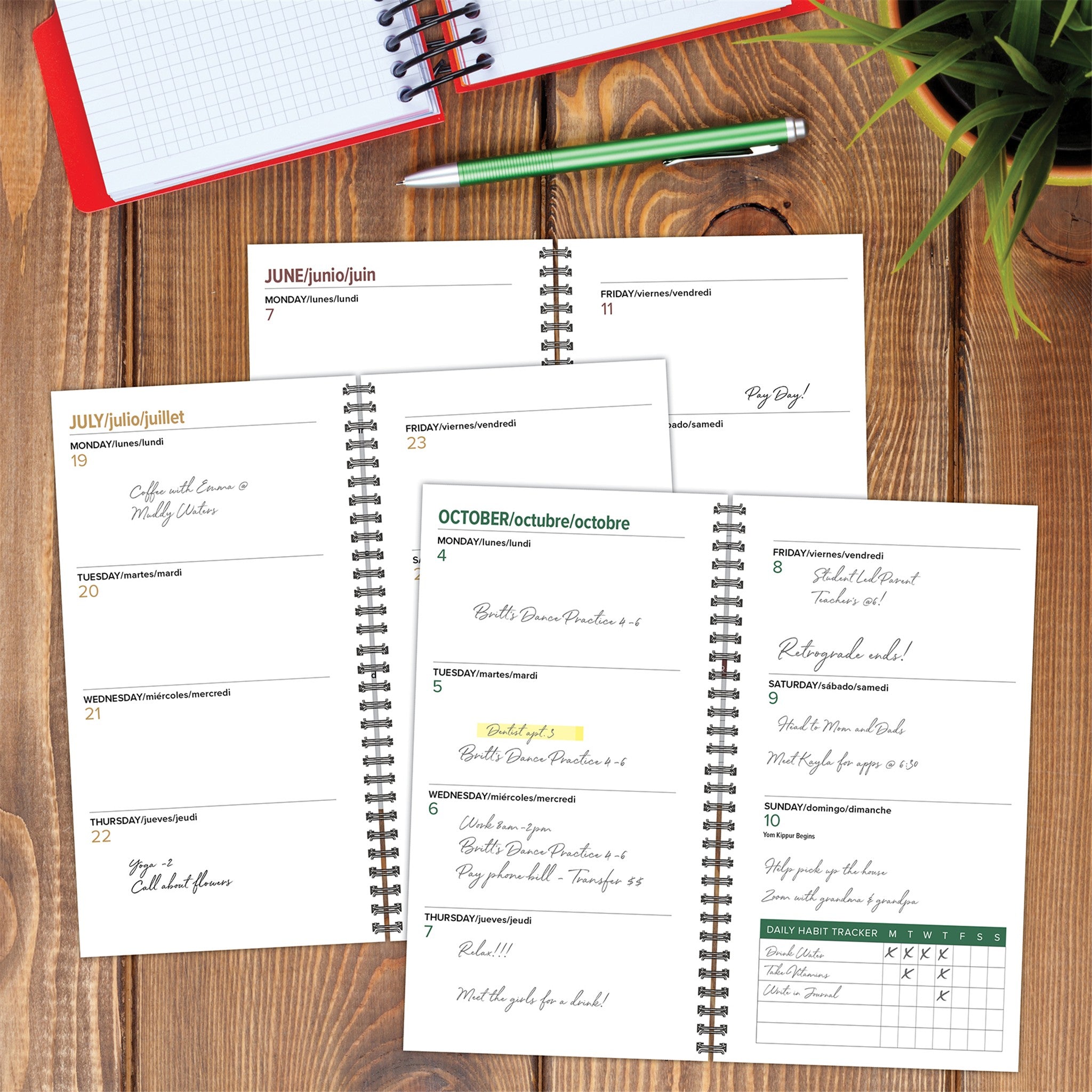 Garden Botanical Spiral 2027 Engagement Calendar