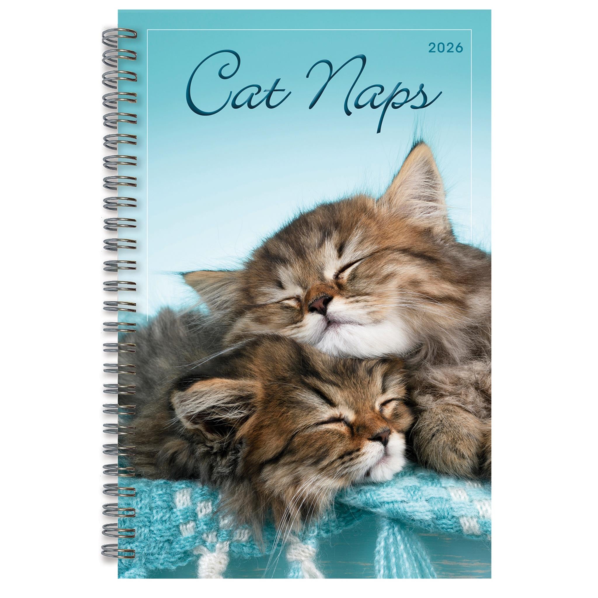 Cat Naps 2025-2026 Engagement Calendar