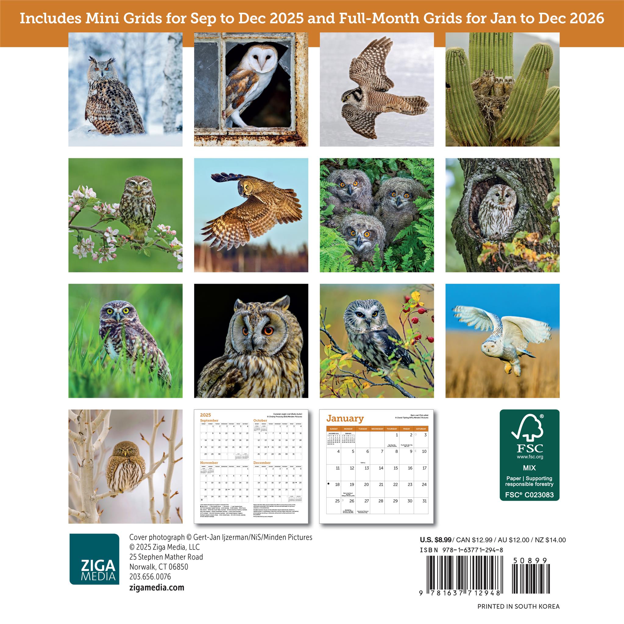 Owls 2026 Mini Calendar
