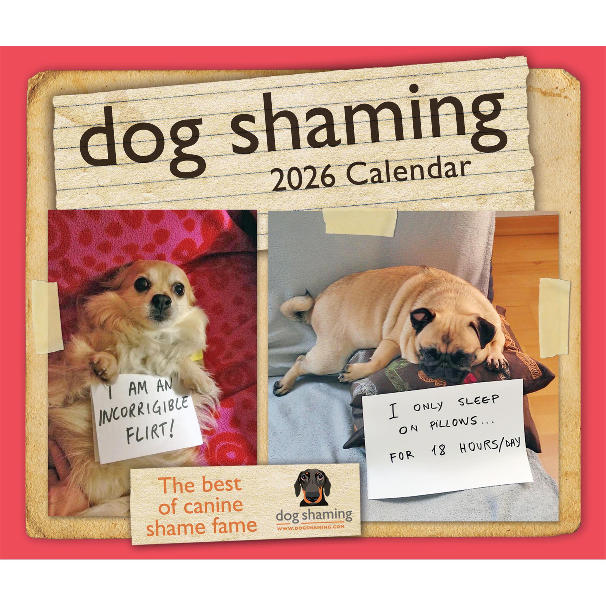 Dog Shaming 2026 Box Calendar
