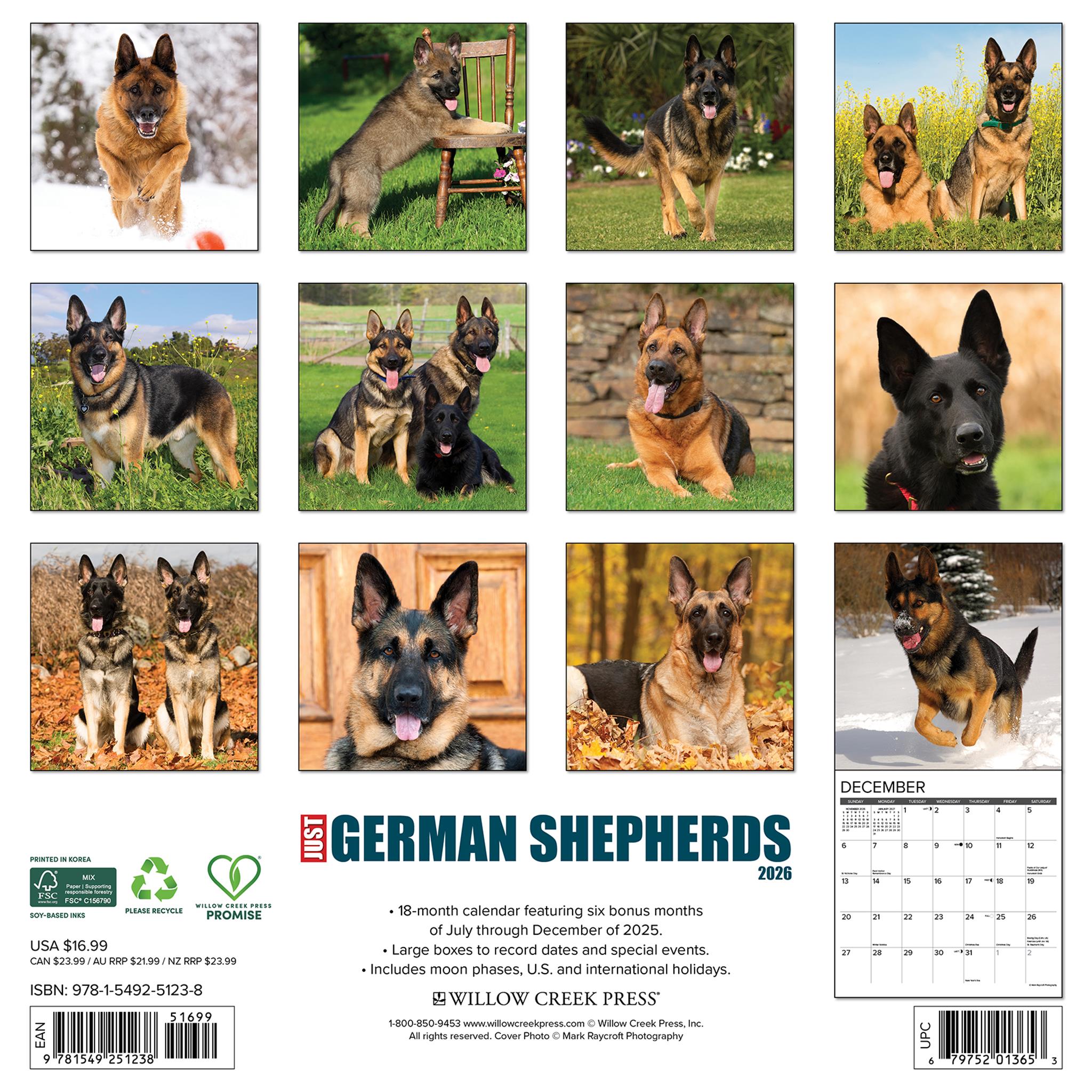 Just German Shepherds 2026 Wall Calendar