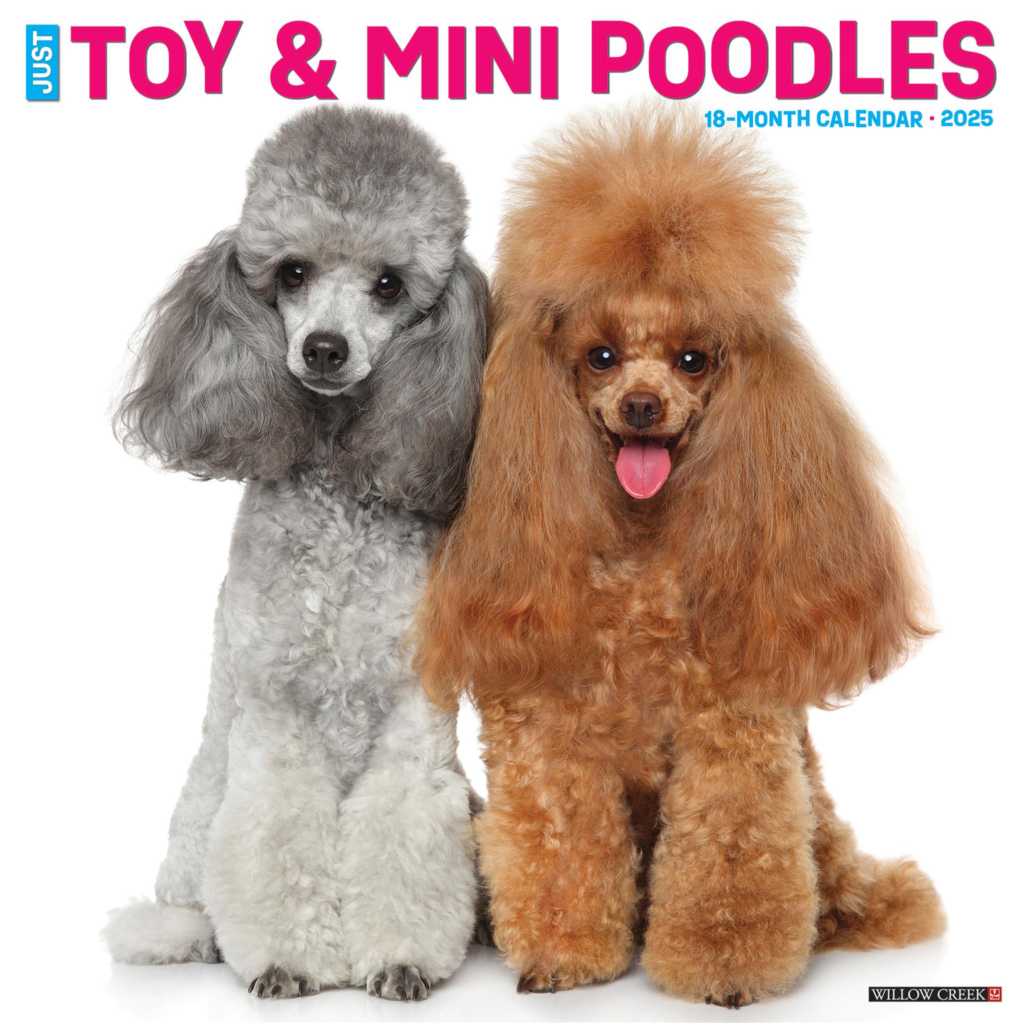 Toy And Miniature Poodles Wall 2025 Calendar Online Exclusive