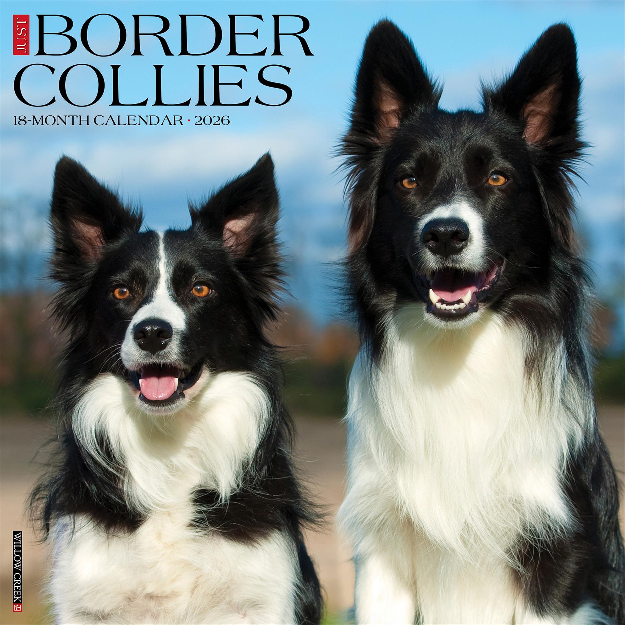 Just Border Collies 2026 Wall Calendar