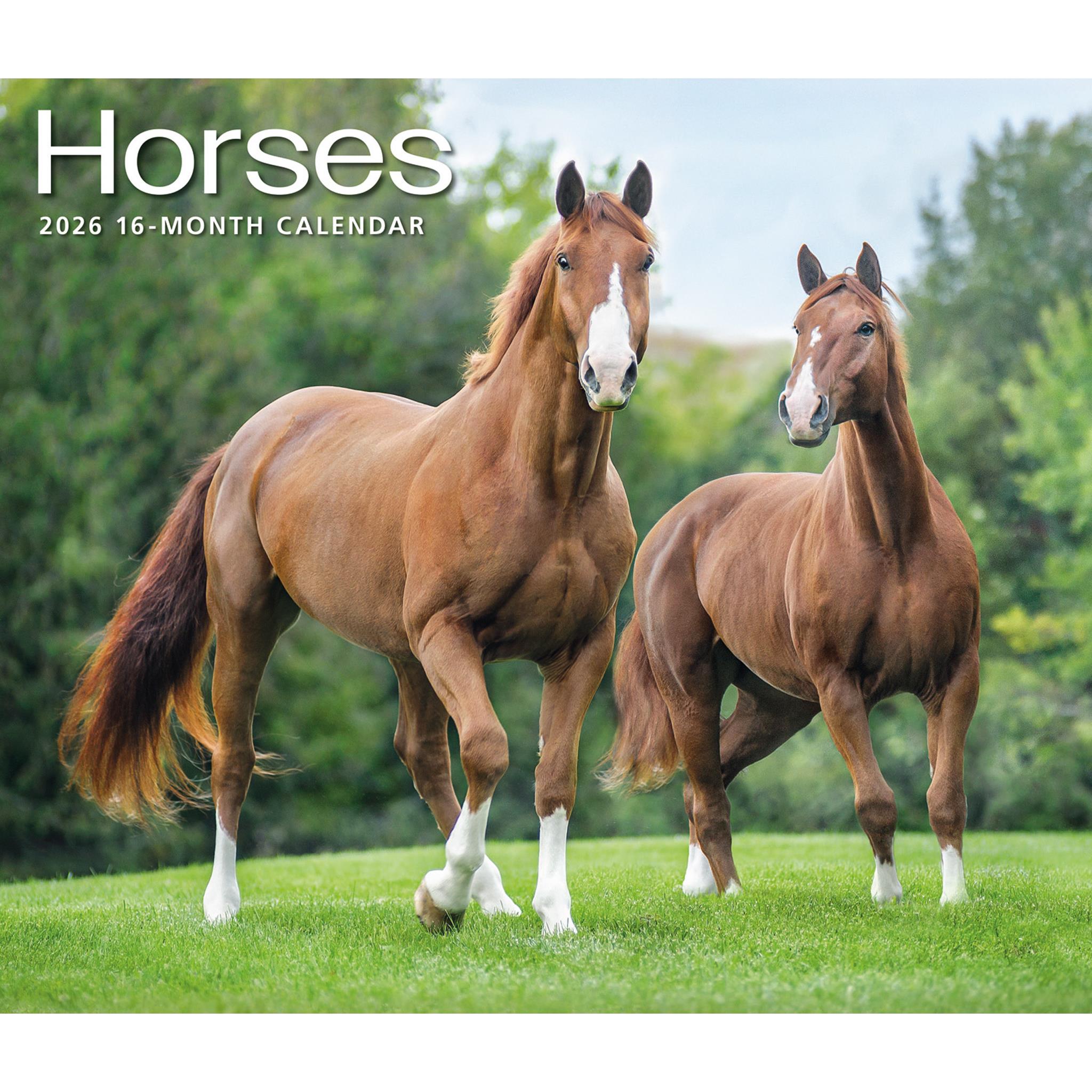 Horses 2026 Wall Calendar