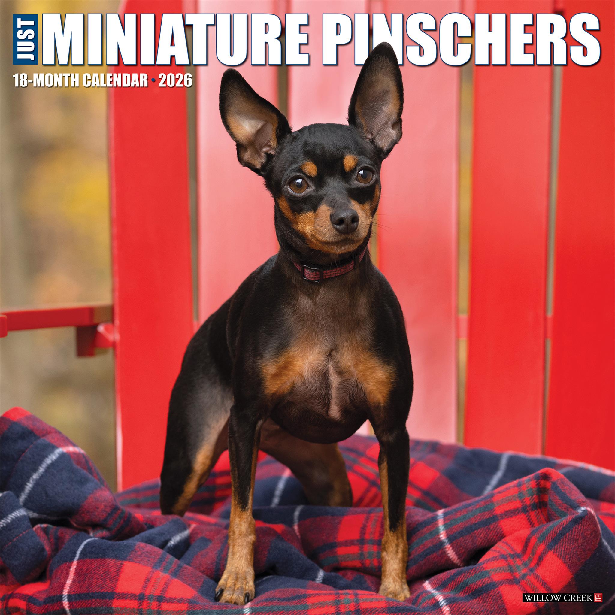 Miniature Pinschers 2026 Just Wall Calendar - Online Only
