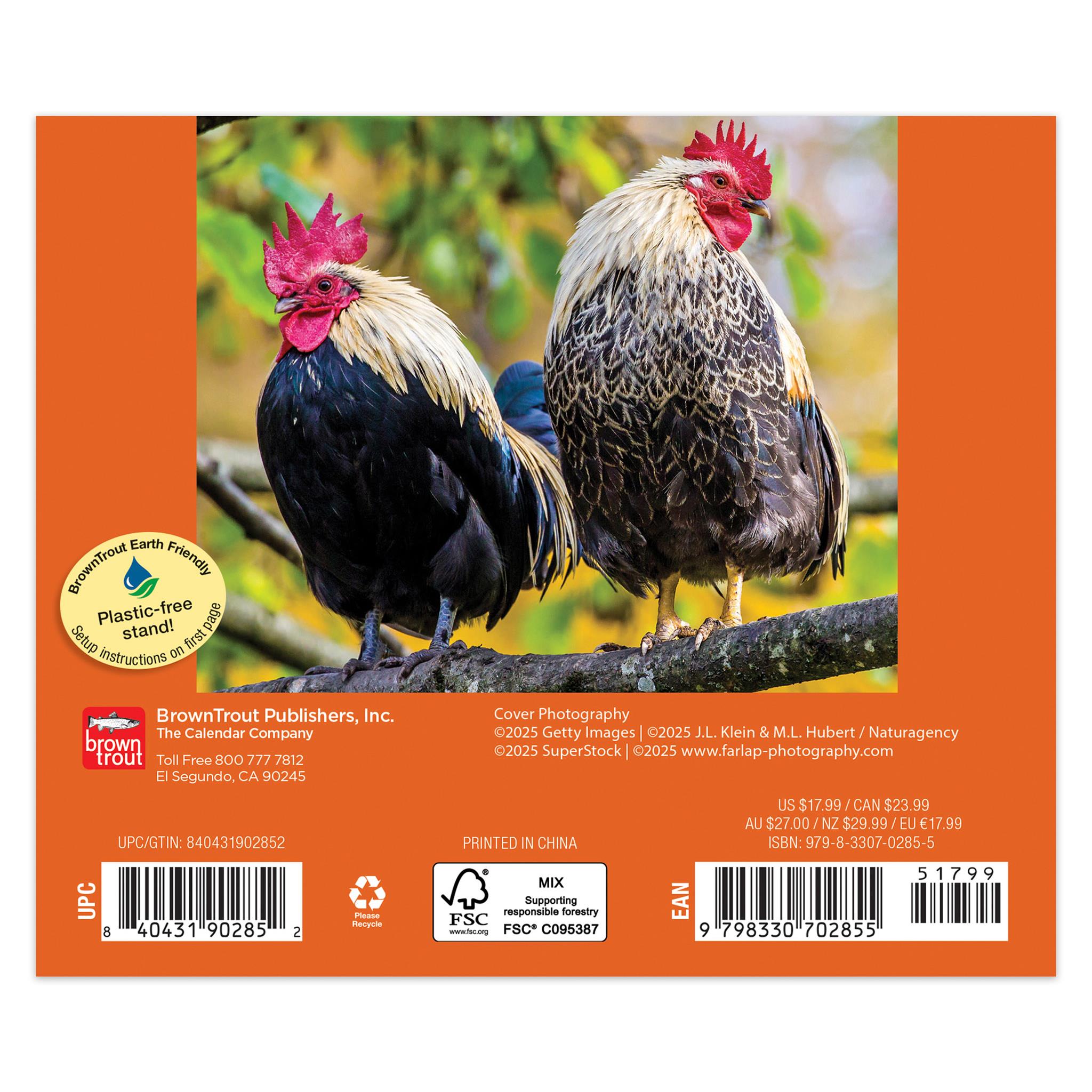 Chickens 2026 Box Calendar - Online Only