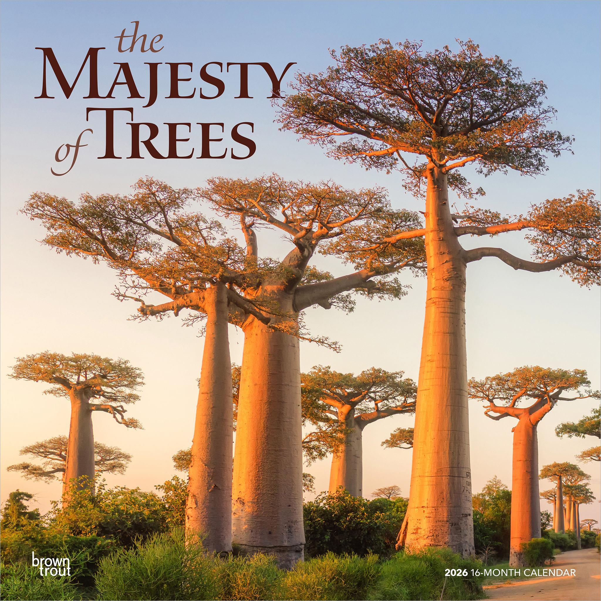 Majesty Of Trees 2026 Wall Calendar - Online Only