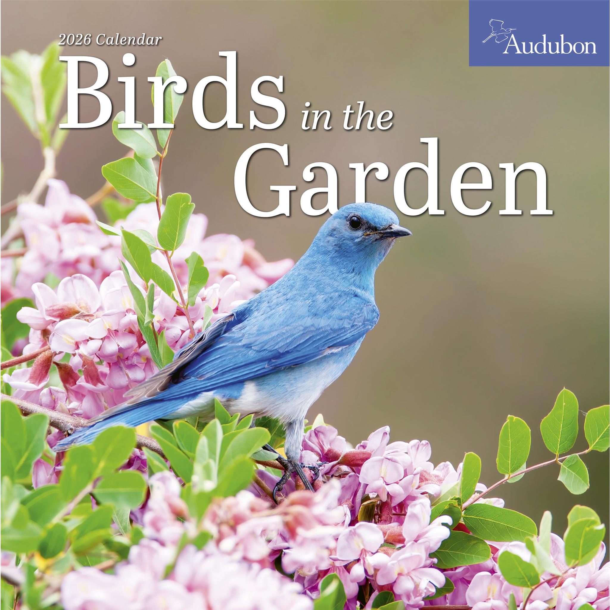 Audubon Birds In The Garden 2026 Wall Calendar