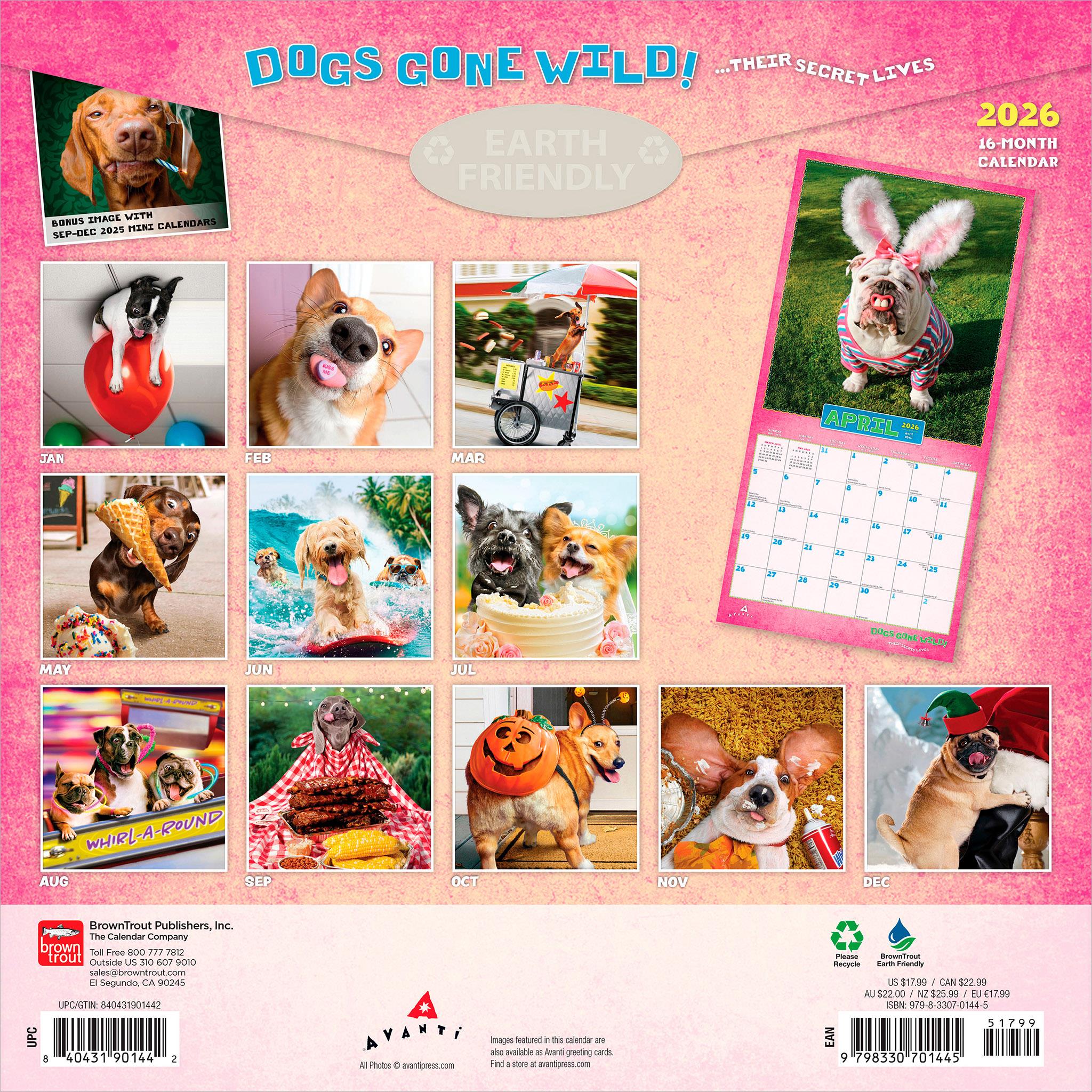 Dogs Gone Wild Avanti 2026 Wall Calendar