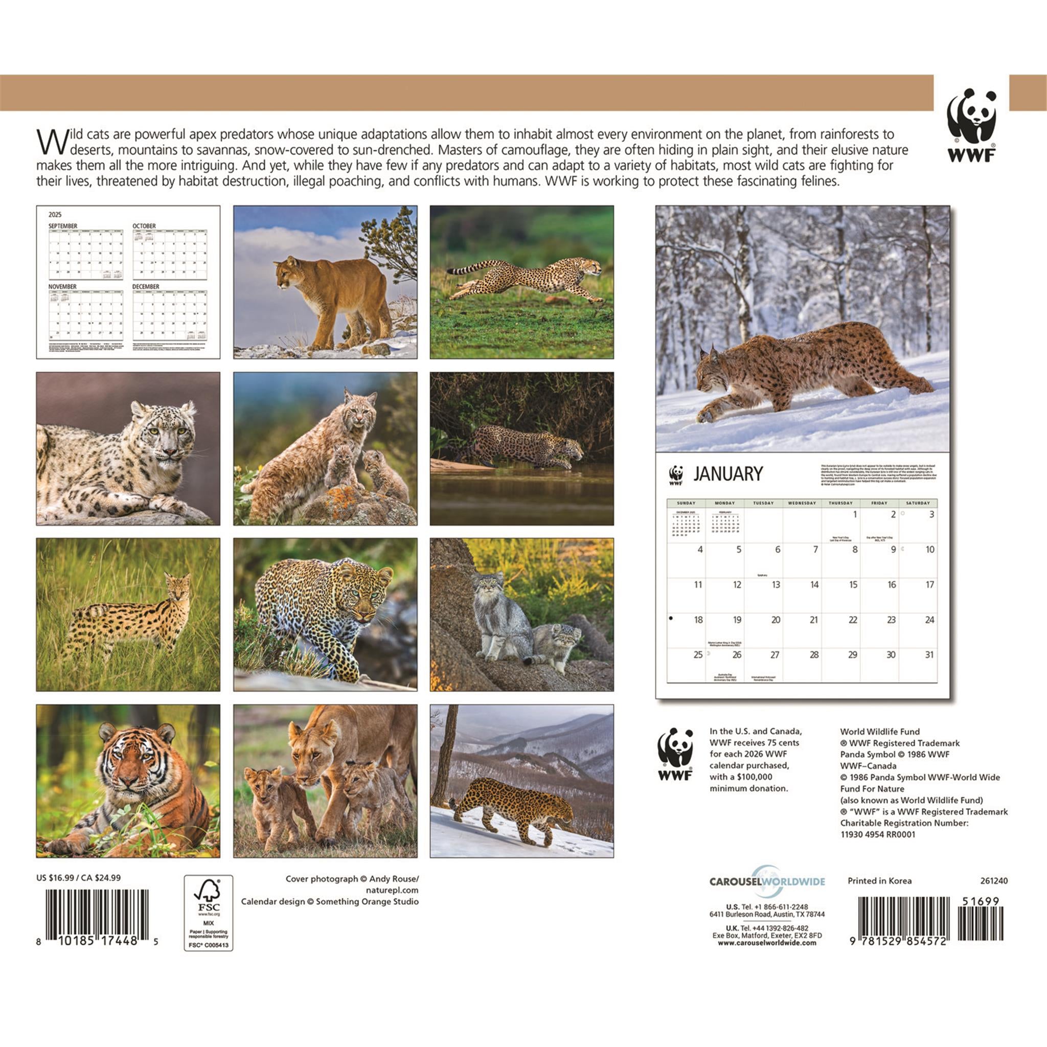World Wildlife Fund Wild Cats 2026 Wall Calendar