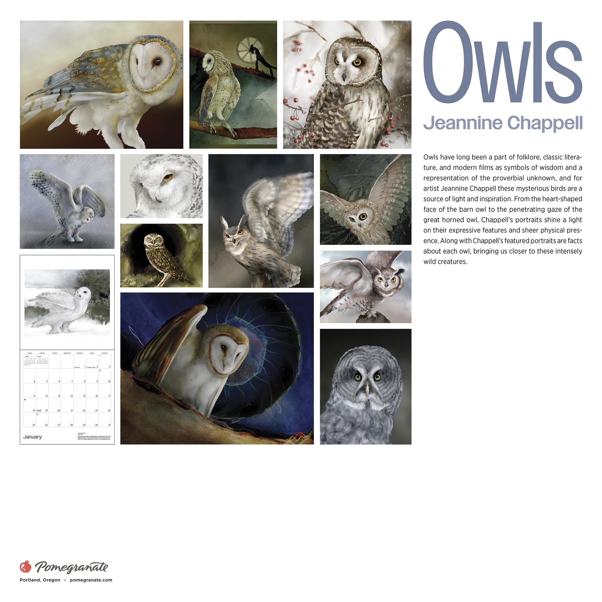 Owls Jeannine Chappell 2026 Wall Calendar