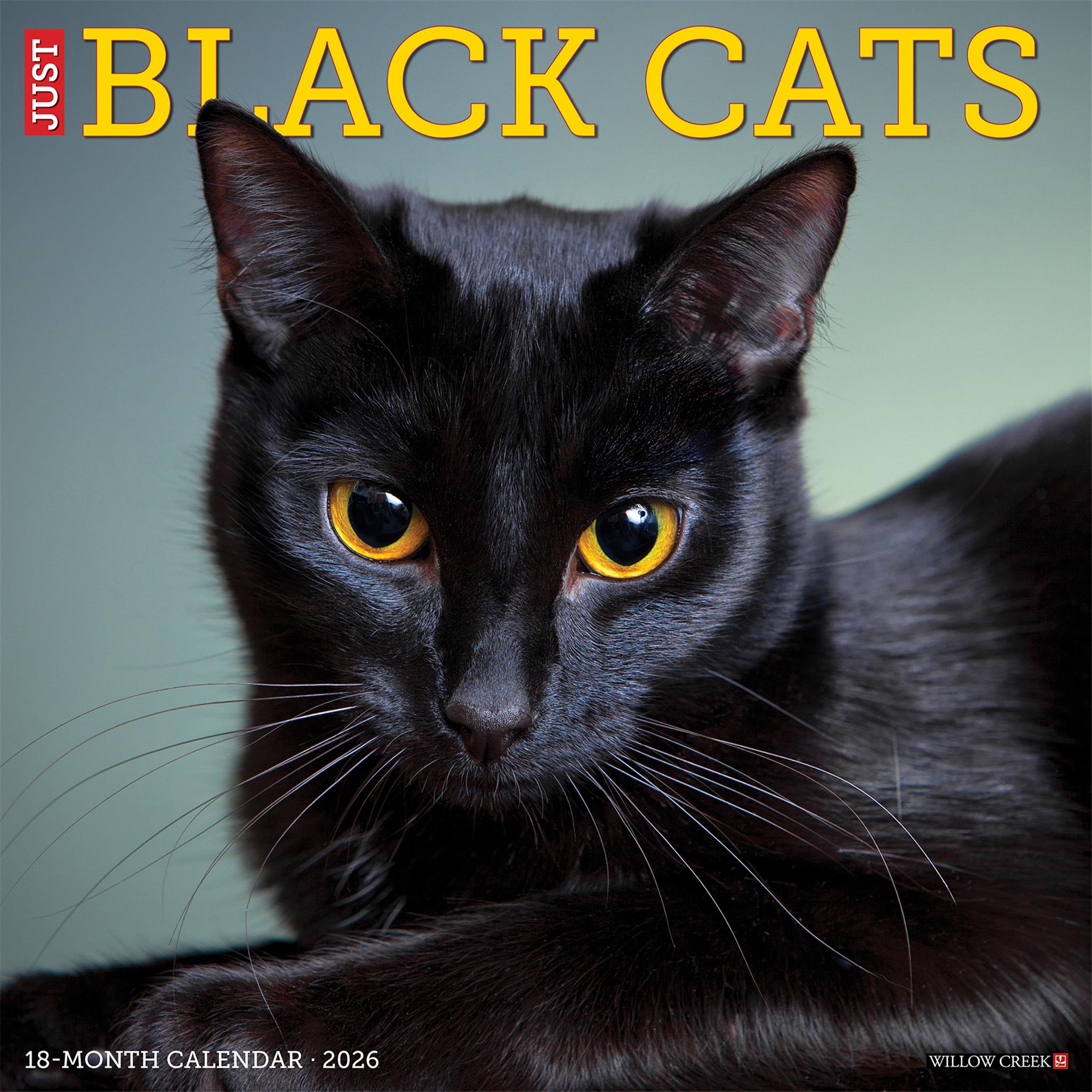 Just Black Cats 2026 Wall Calendar