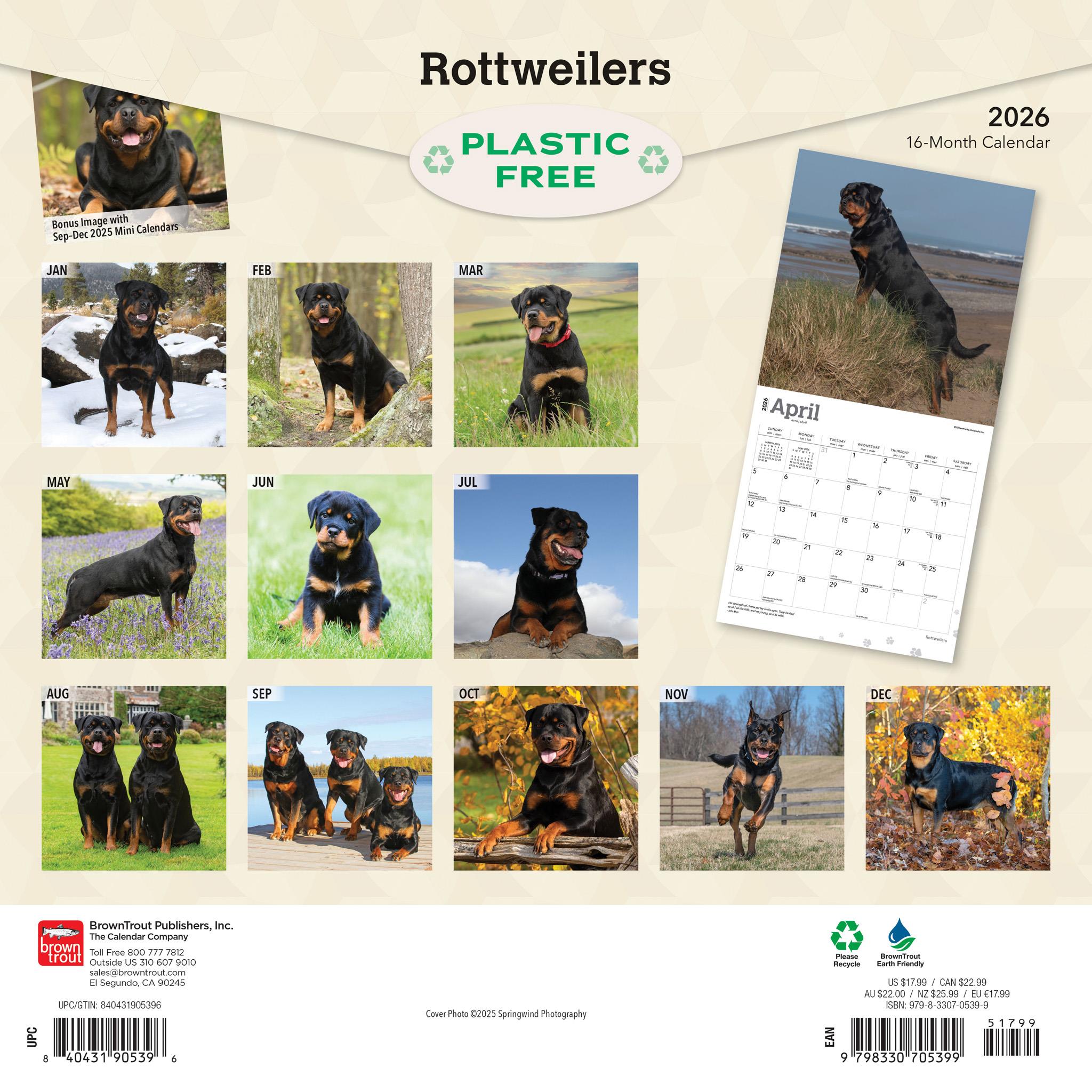 Rottweilers 2026 Wall Calendar
