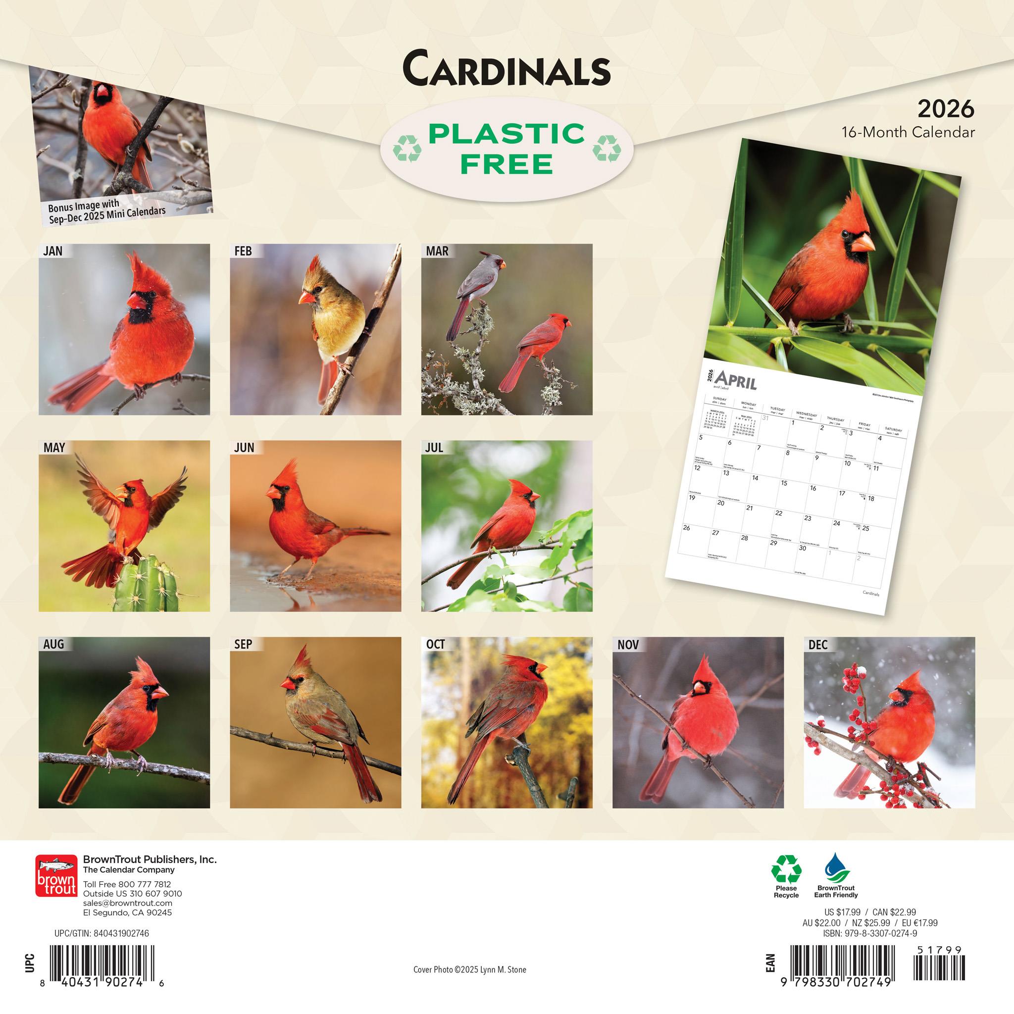 Cardinals 2026 Wall Calendar