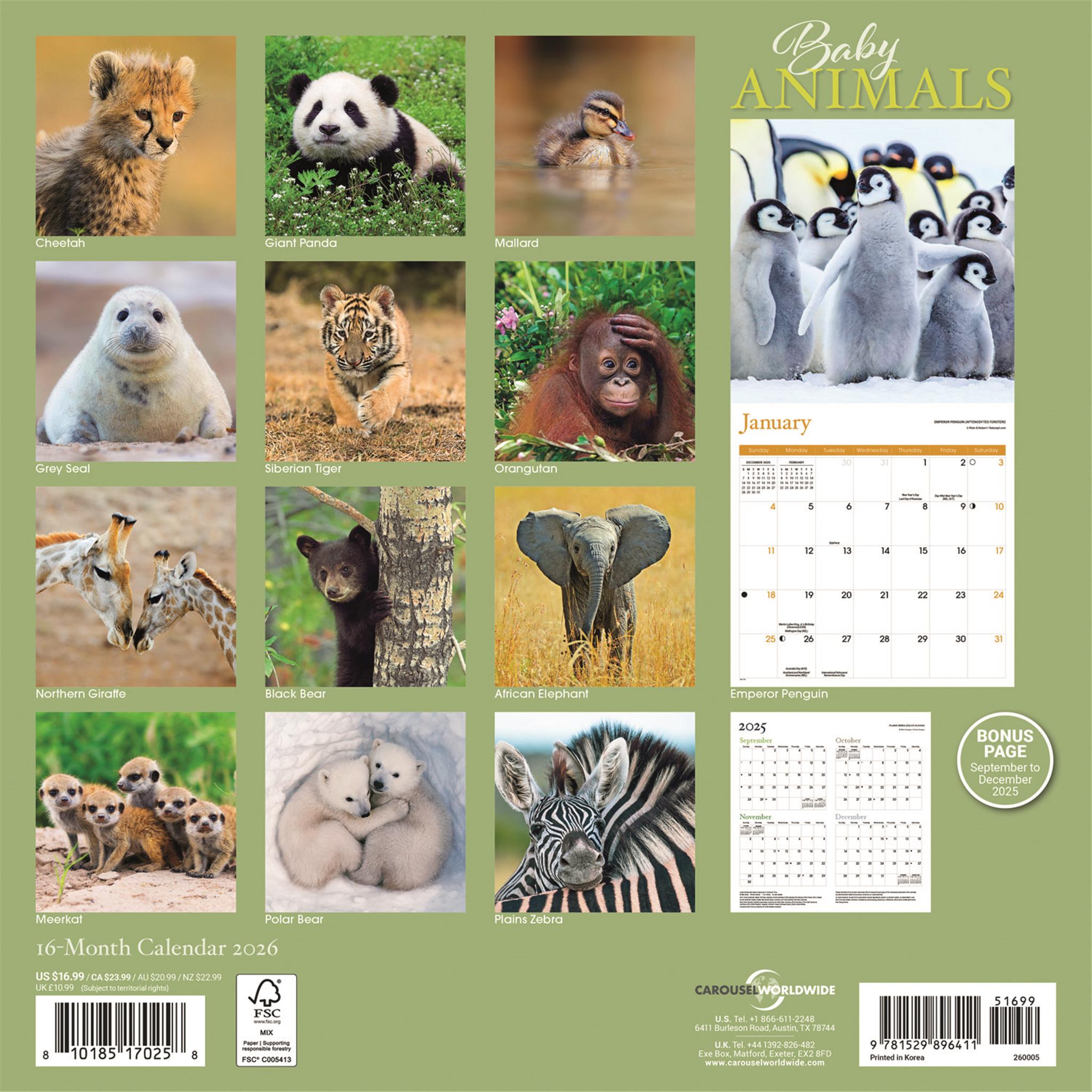 Baby Animals 2026 Wall Calendar