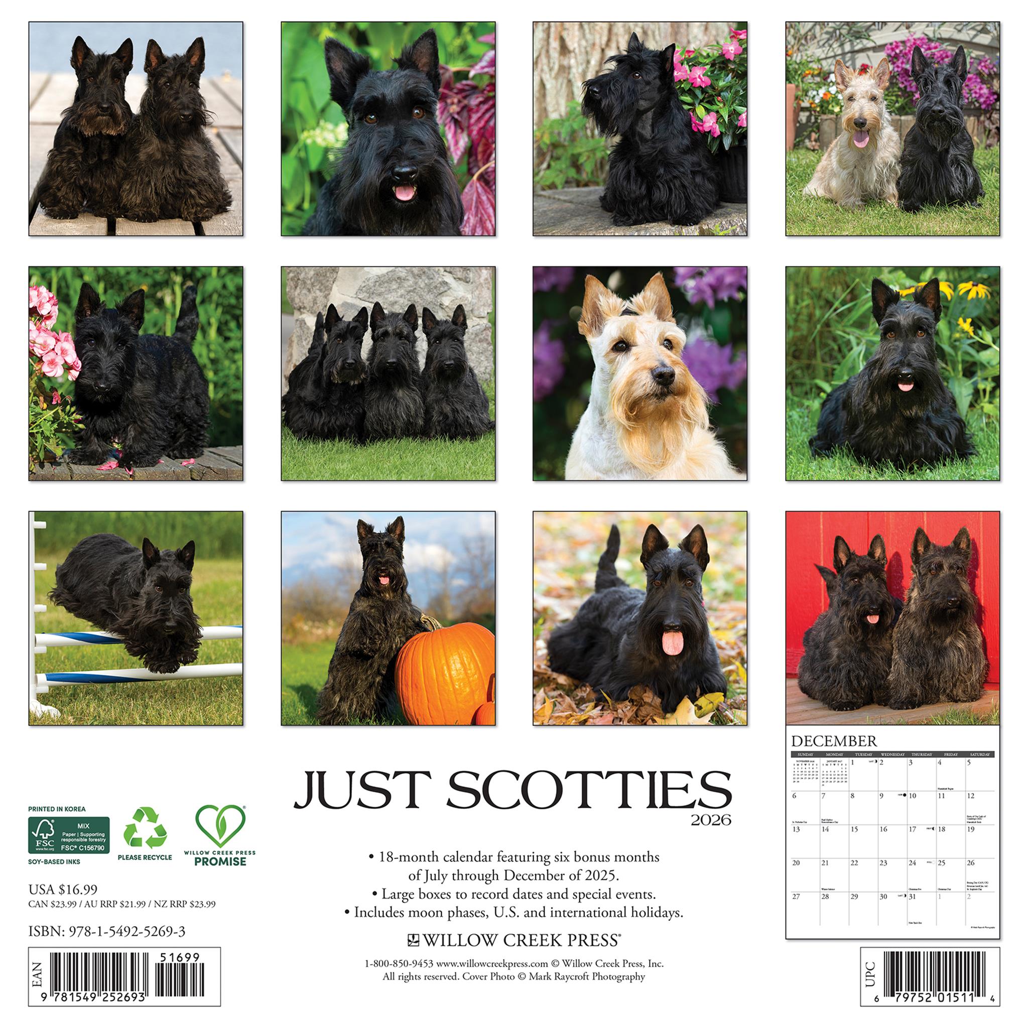 Scotties 2026 Just Wall Calendar
