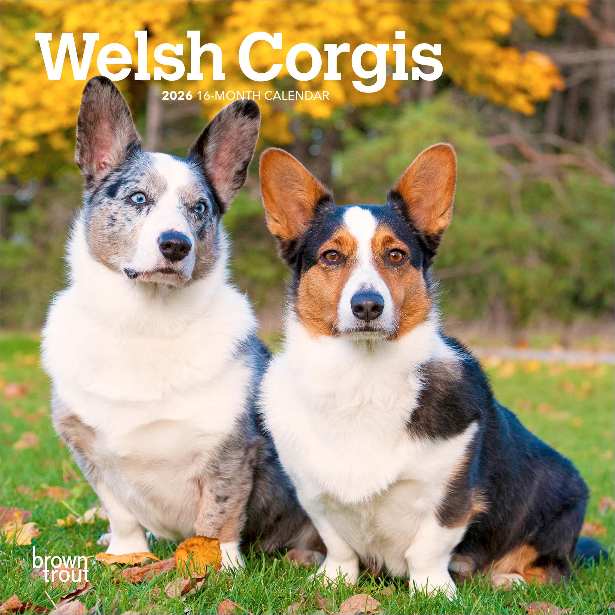 Welsh Corgis 2026 Mini Calendar