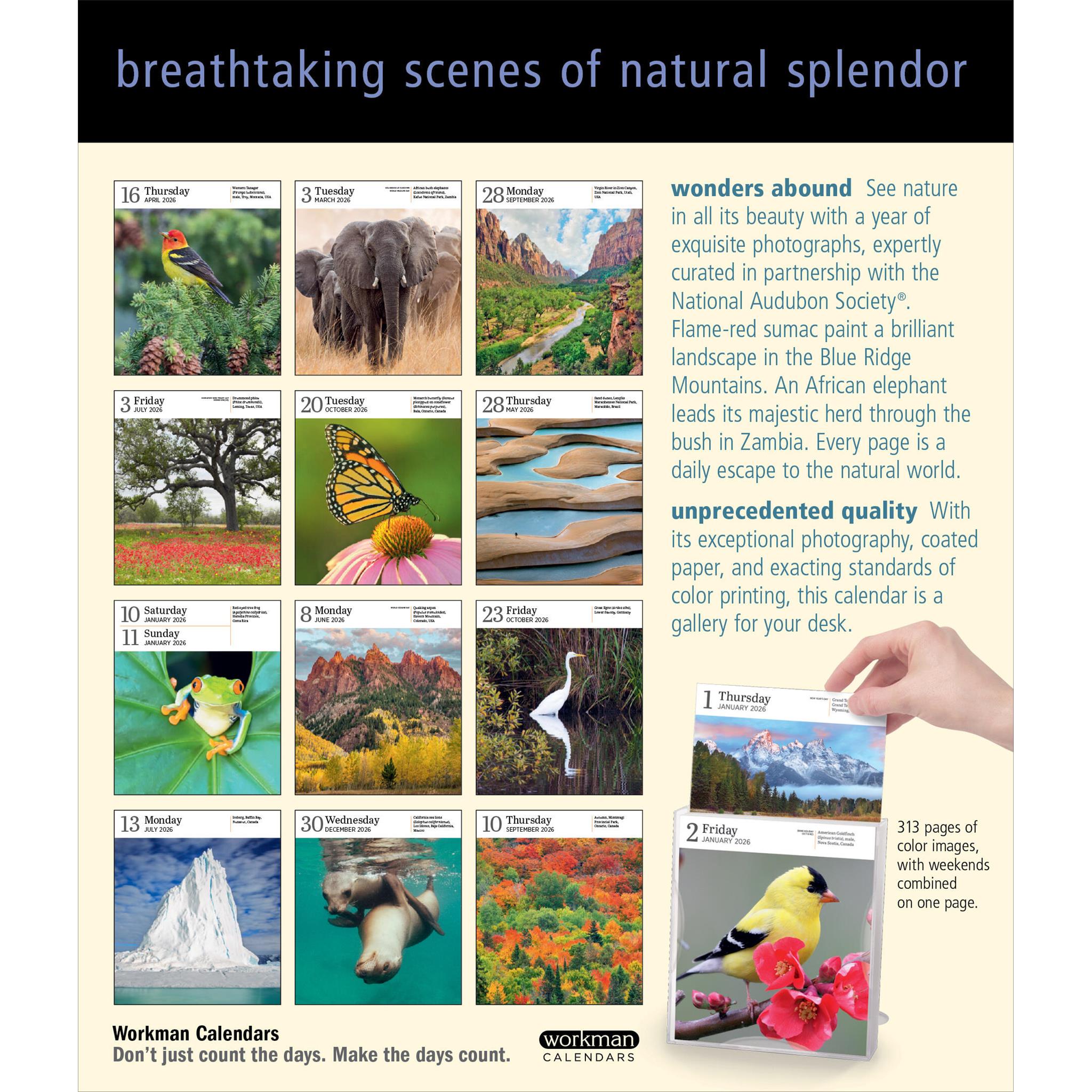 Audubon Nature Gallery 2026 Box Calendar