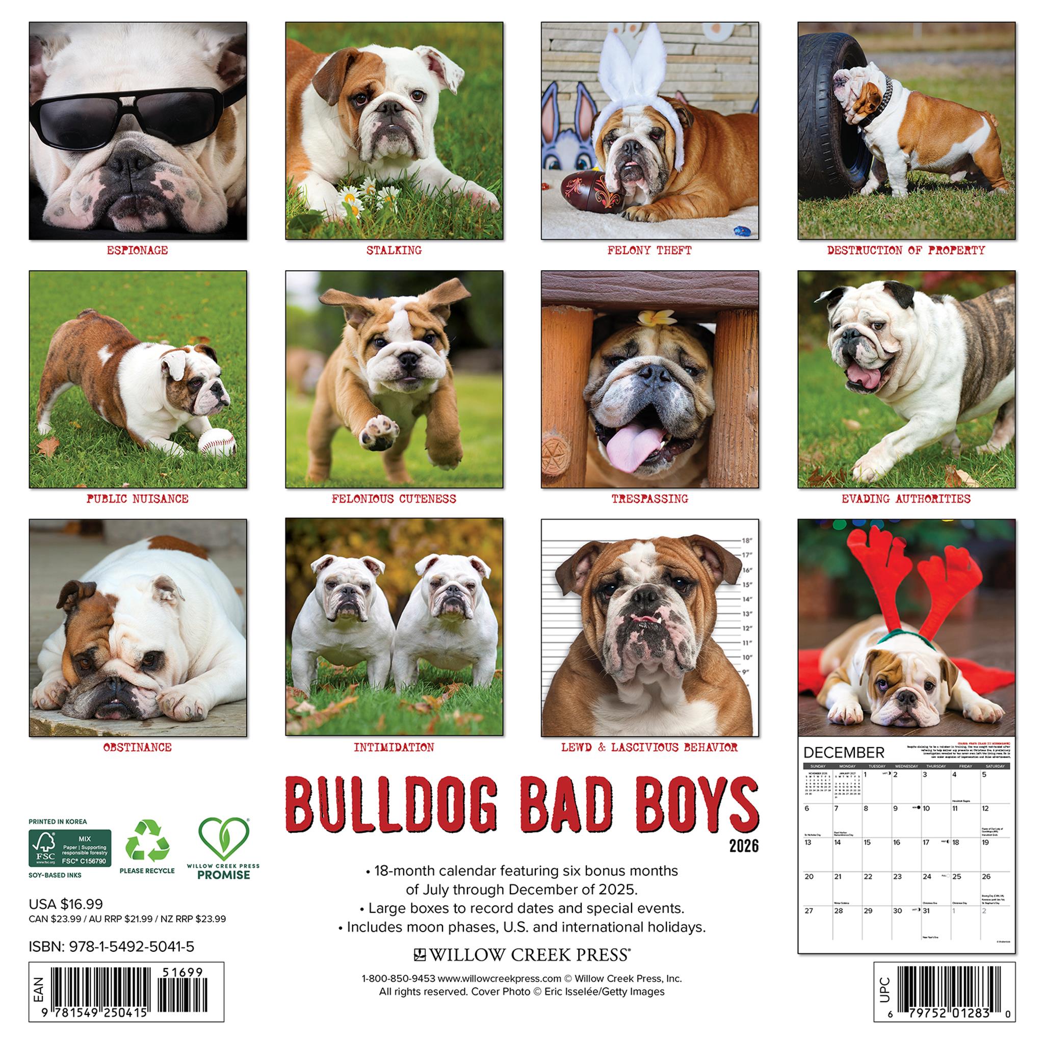Bulldog Bad Boys 2026 Wall Calendar