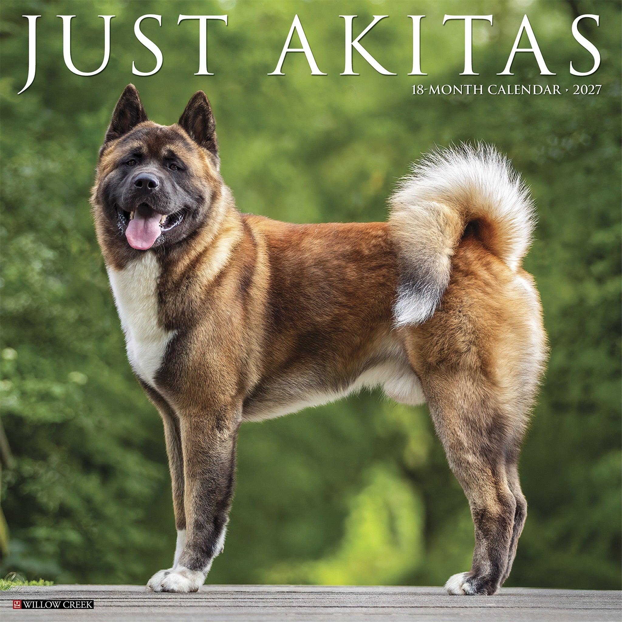 Akitas 2027 Wall Calendar - Online Only