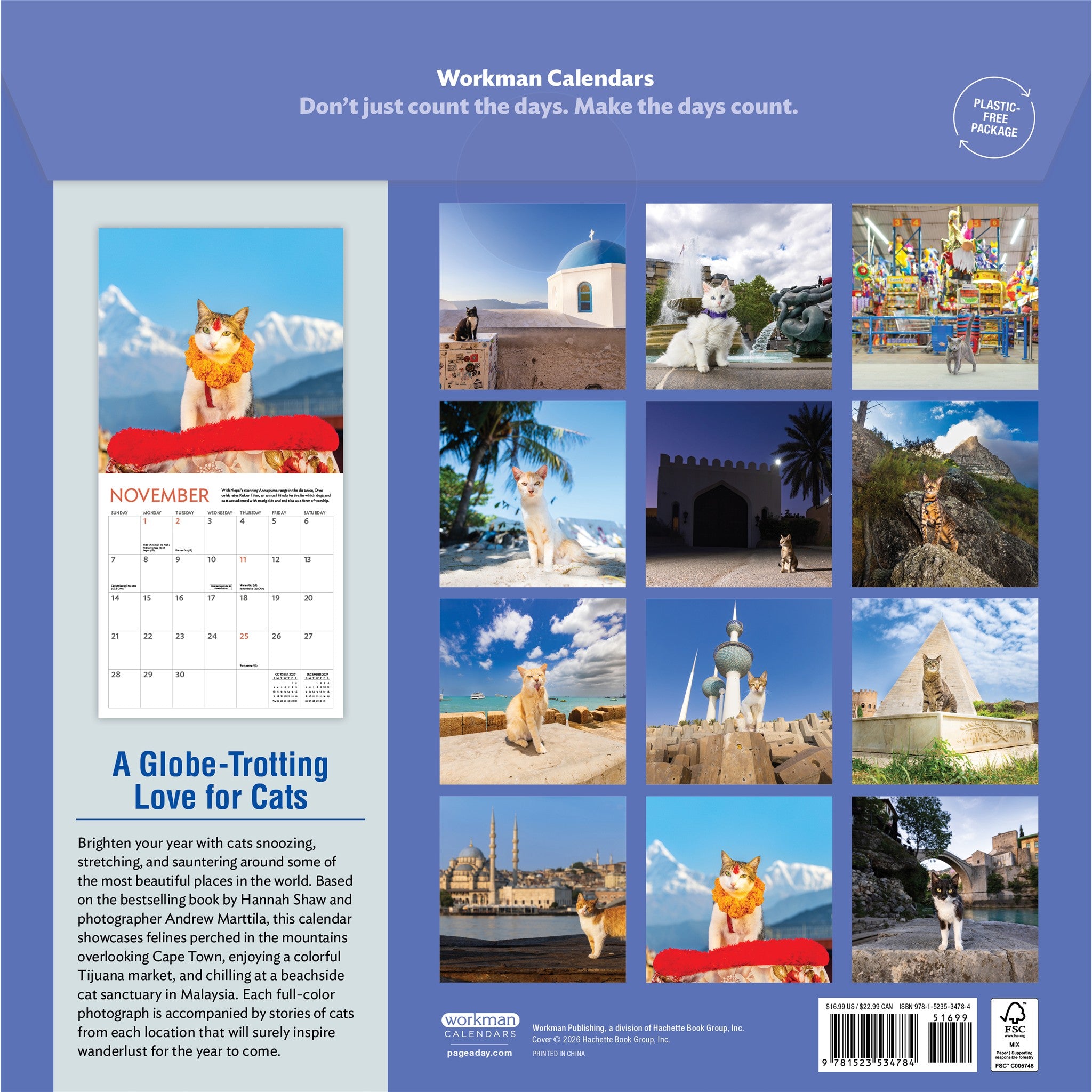 Cats of the World 2027 Wall Calendar - Online Only