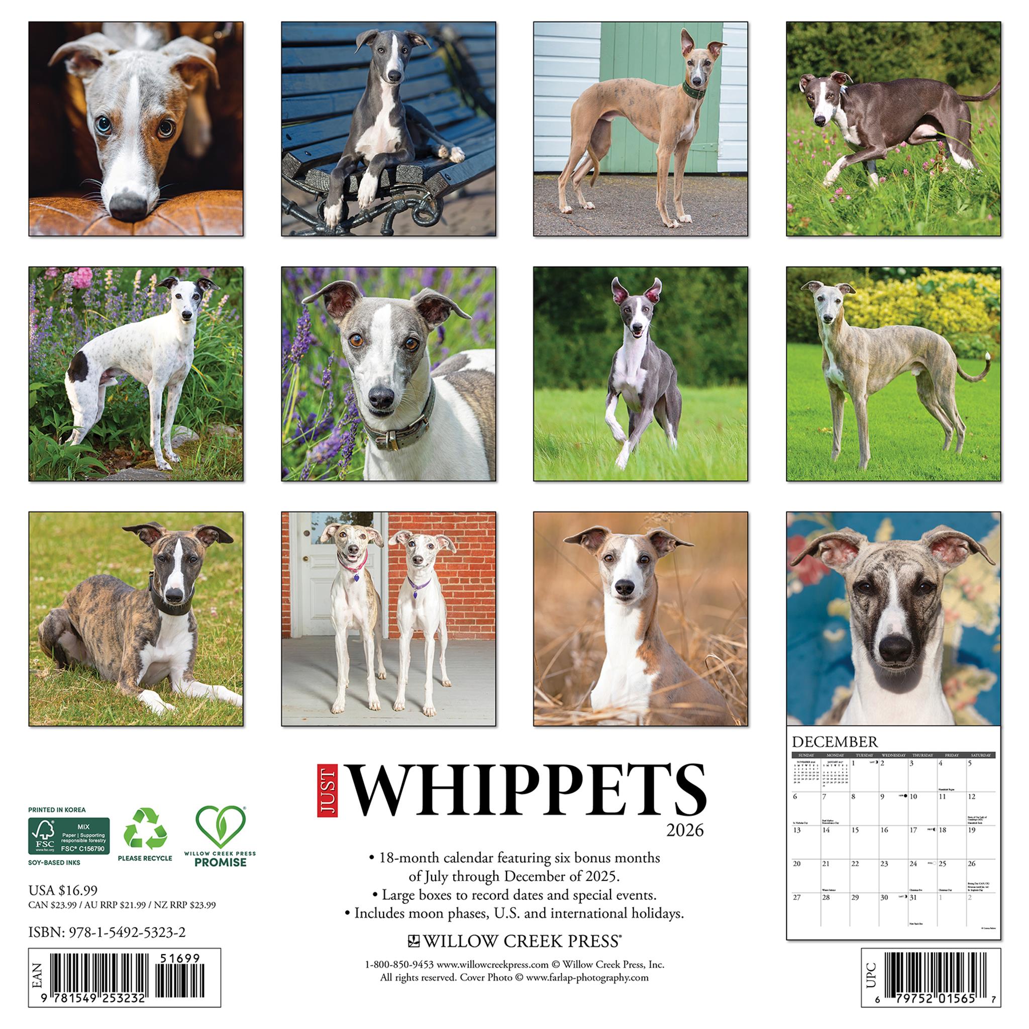 Whippets 2026 Just Wall Calendar