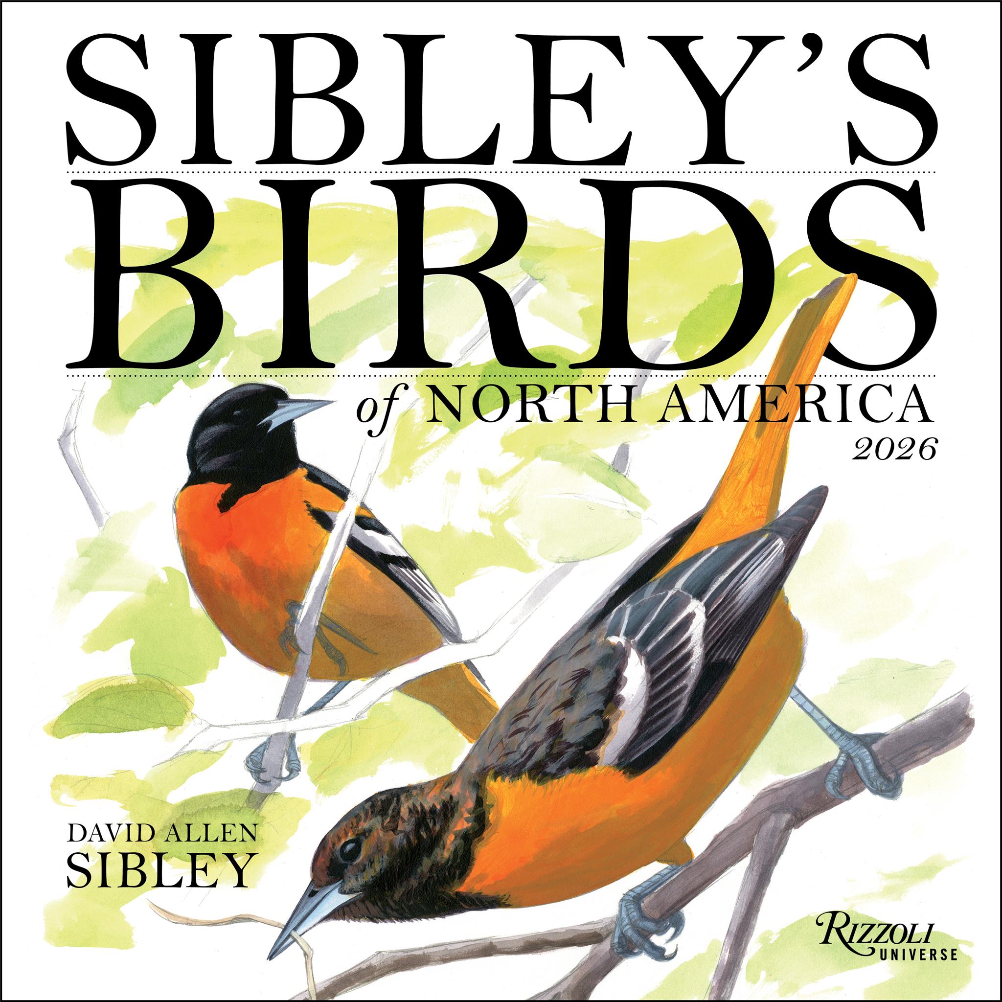 Sibley's Birds Of North America 2026 Wall Calendar - Online Only