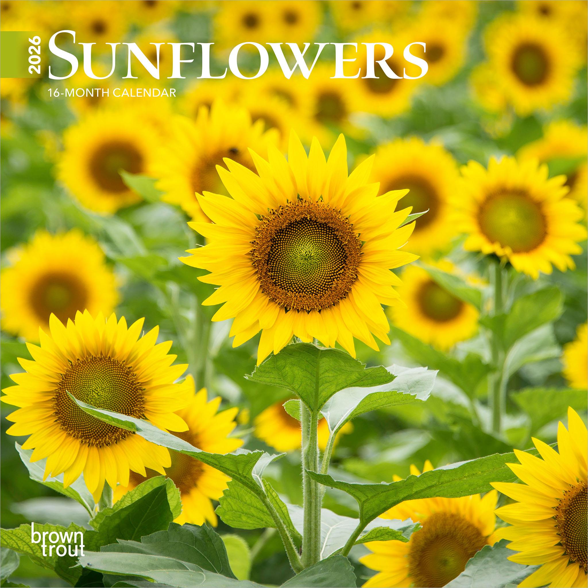 Sunflowers 2026 Mini Calendar